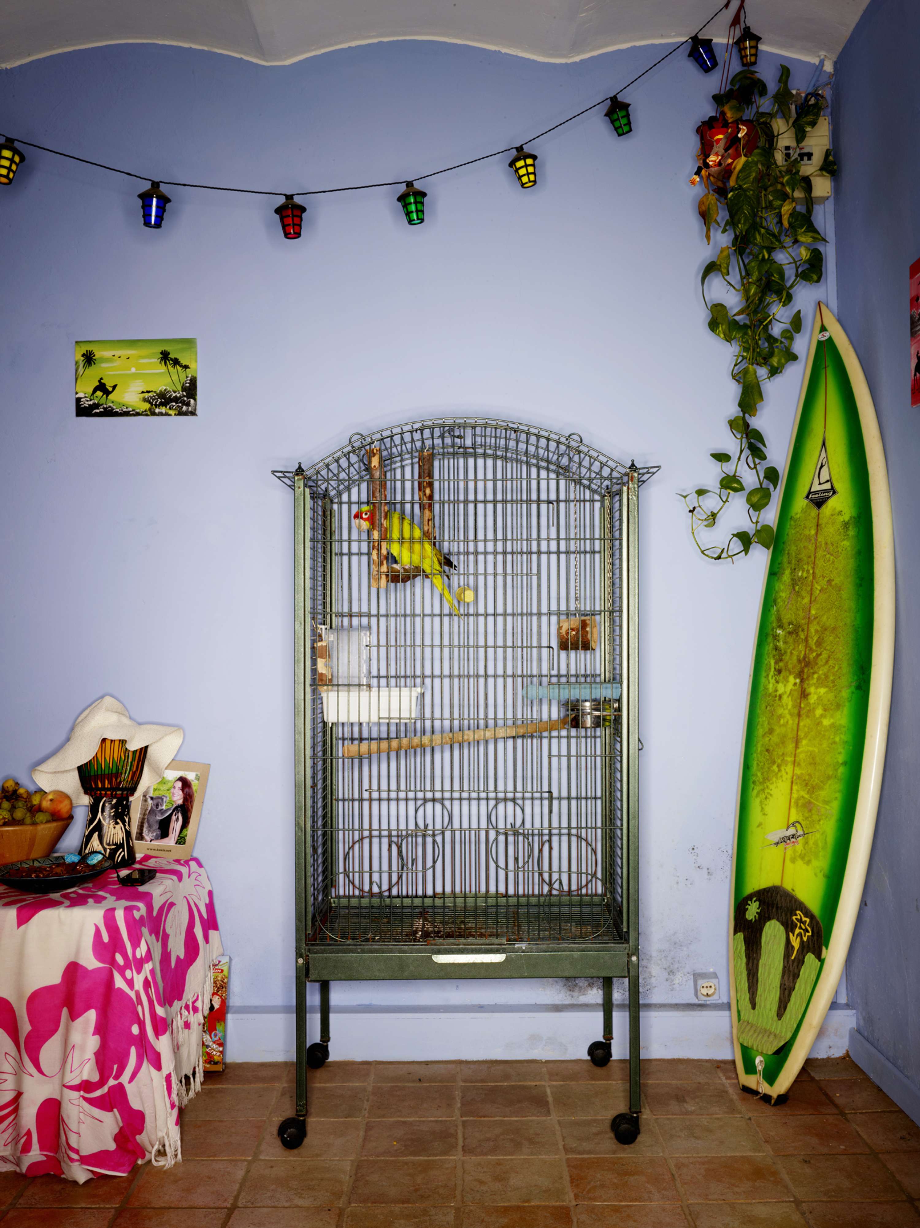 Bird Cages by jasper white