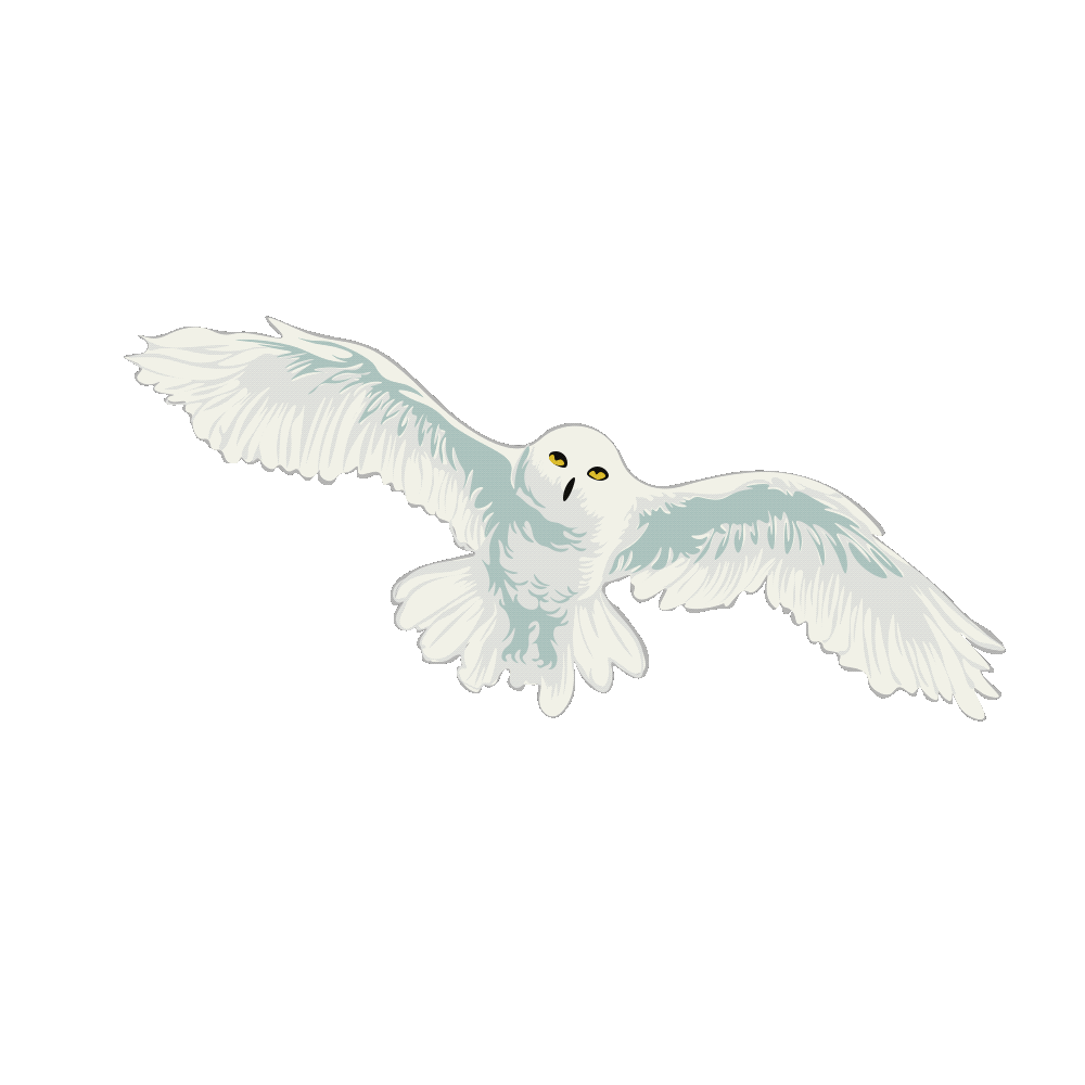 Harry Potter Print Series by Hanni Bowcutt