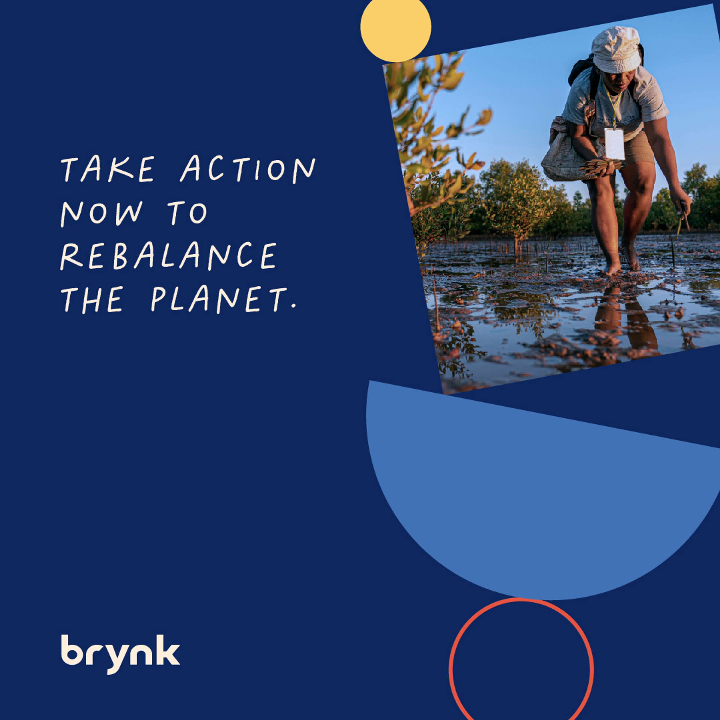 Our planet is on the brink. Join Brynk in helping to restore and rewild it. by Mark Bennett