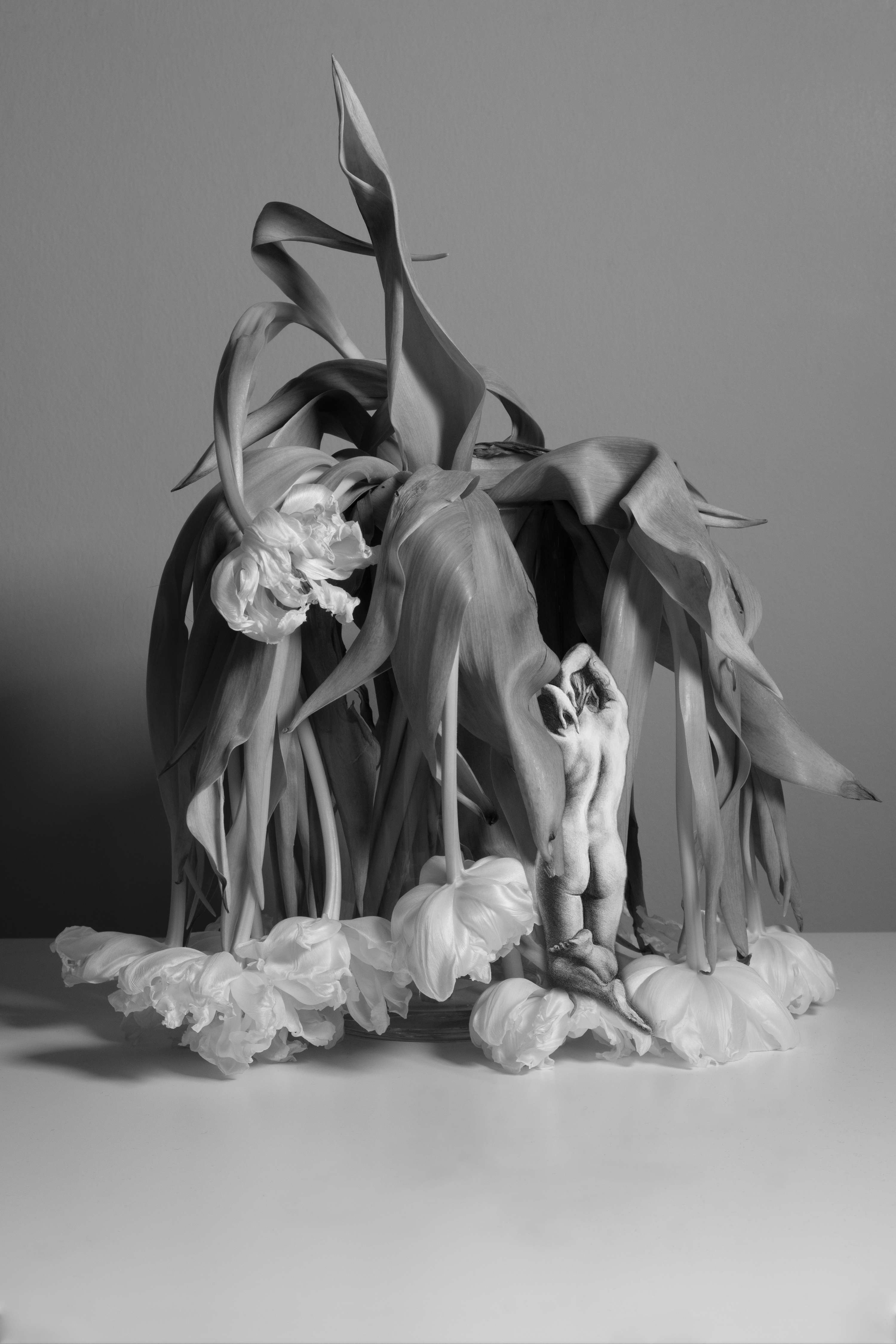 The memory of us not being here by Alaska Agneta Stikova