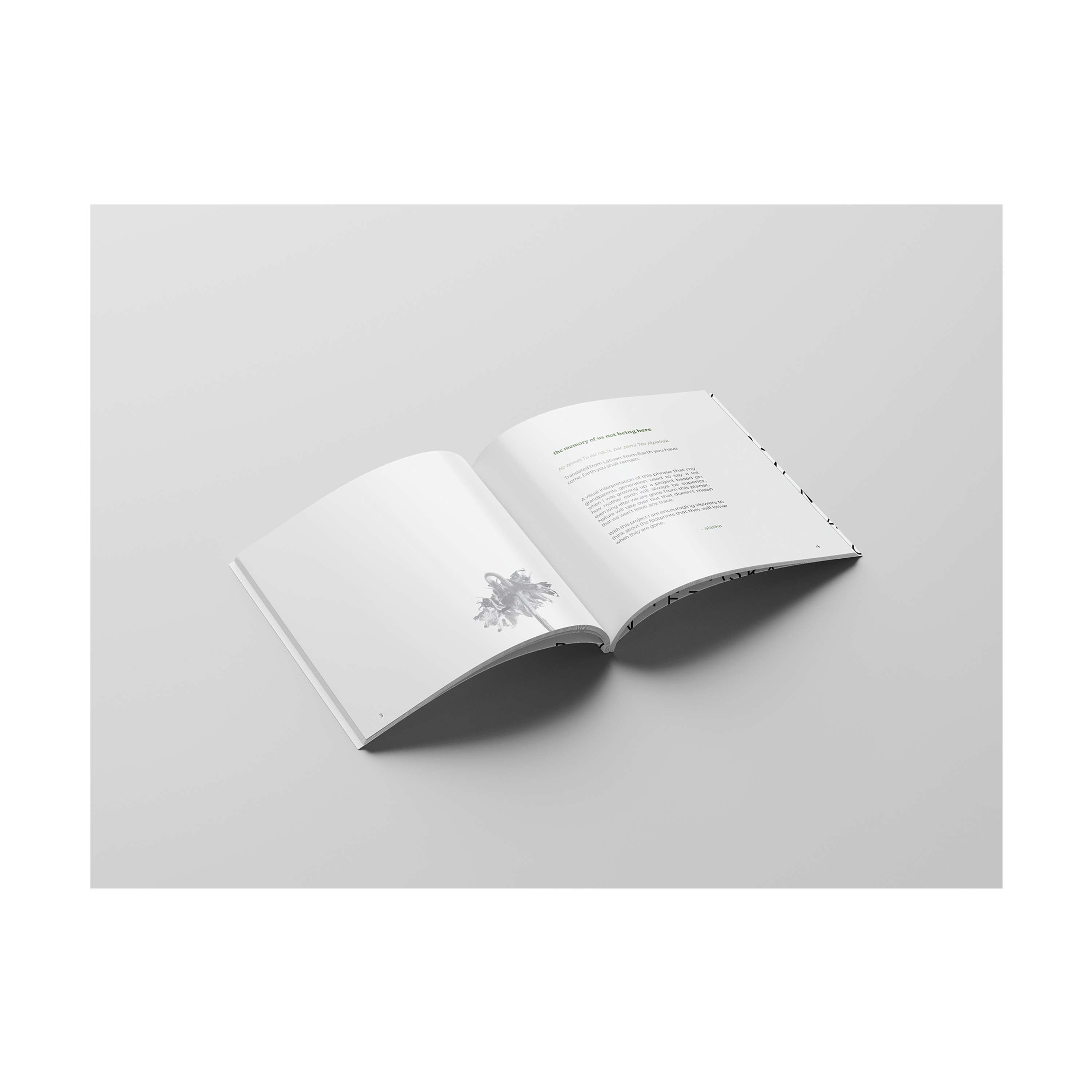 Book: Memory by Alaska Agneta Stikova