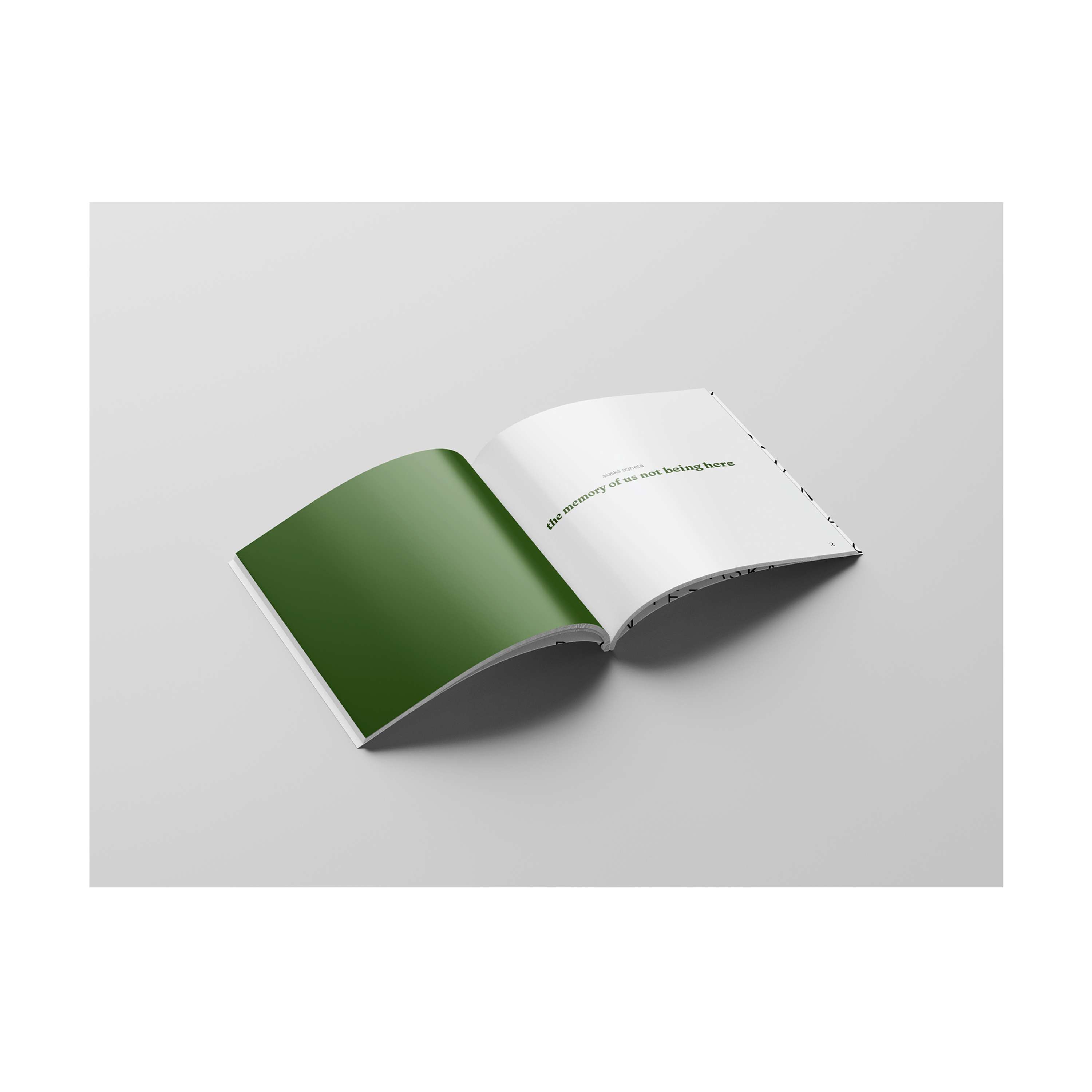 Book: Memory by Alaska Agneta Stikova