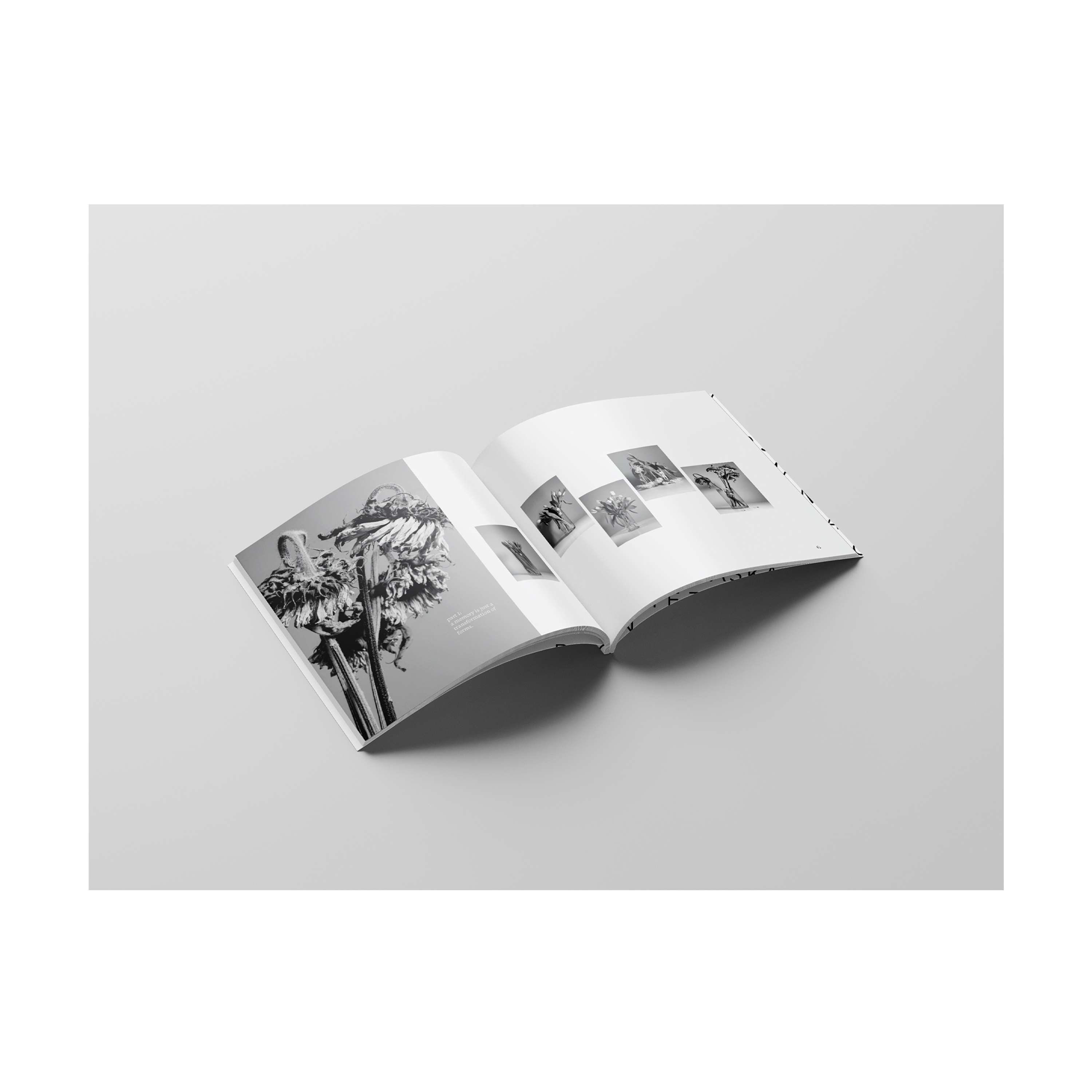 Book: Memory by Alaska Agneta Stikova