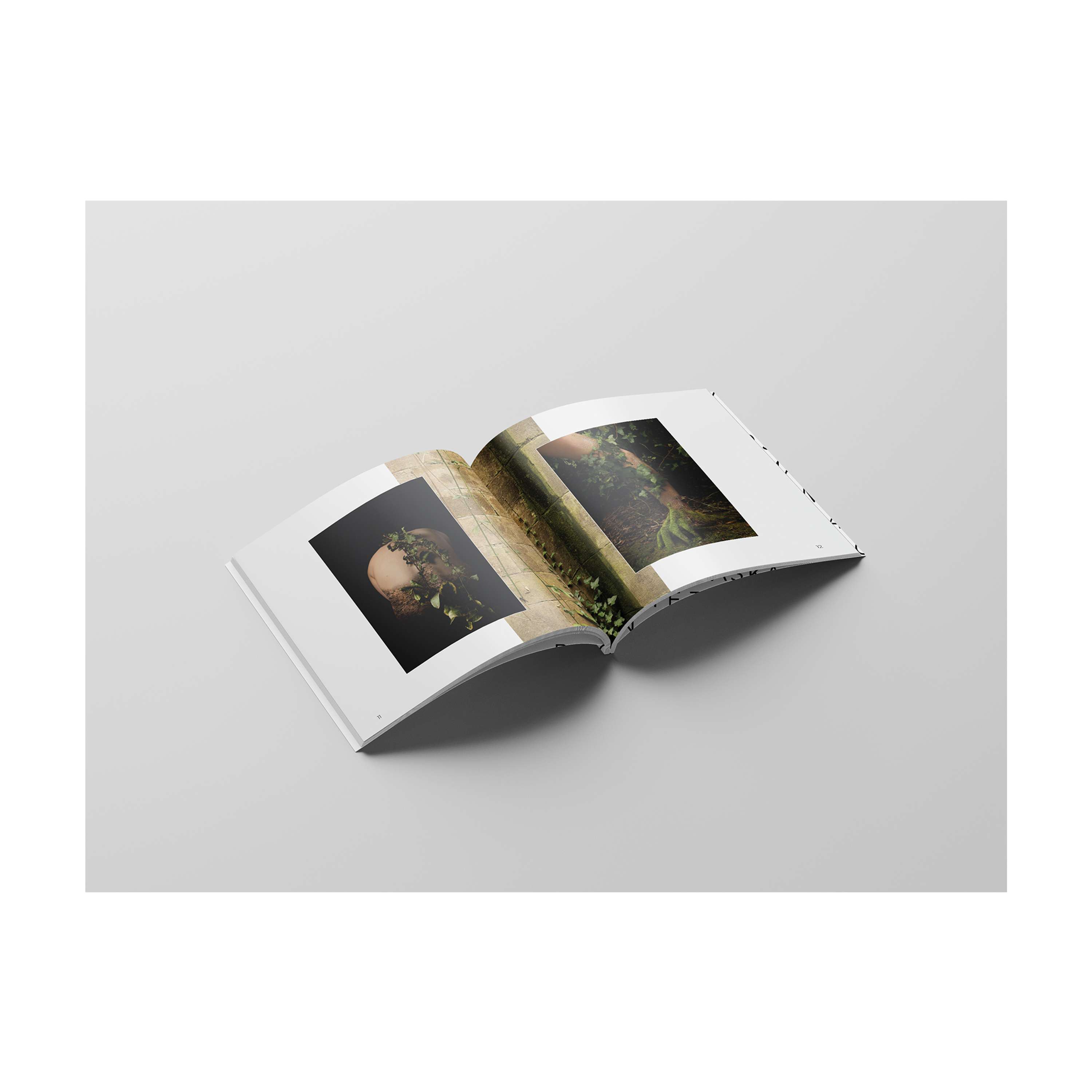 Book: Memory by Alaska Agneta Stikova