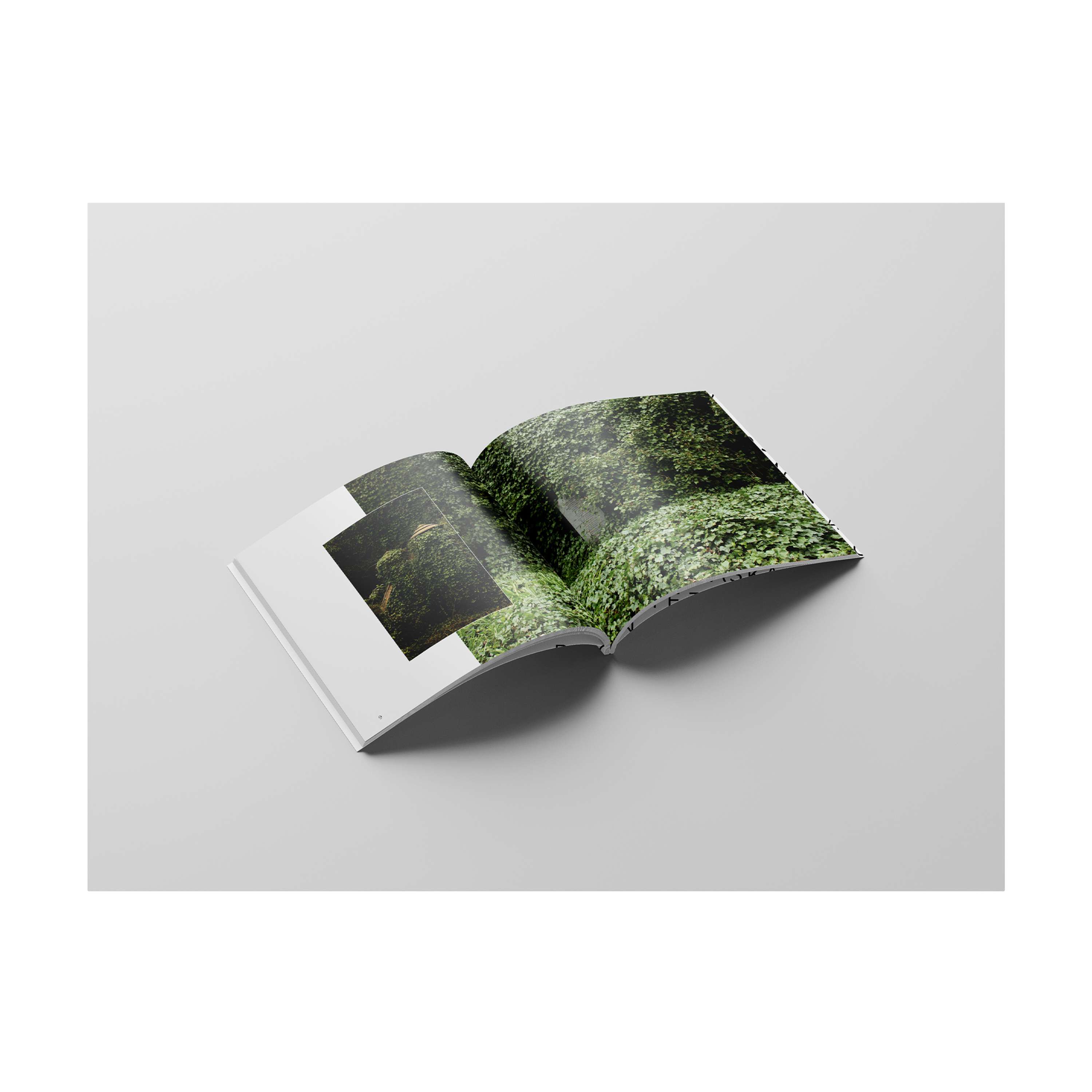 Book: Memory by Alaska Agneta Stikova