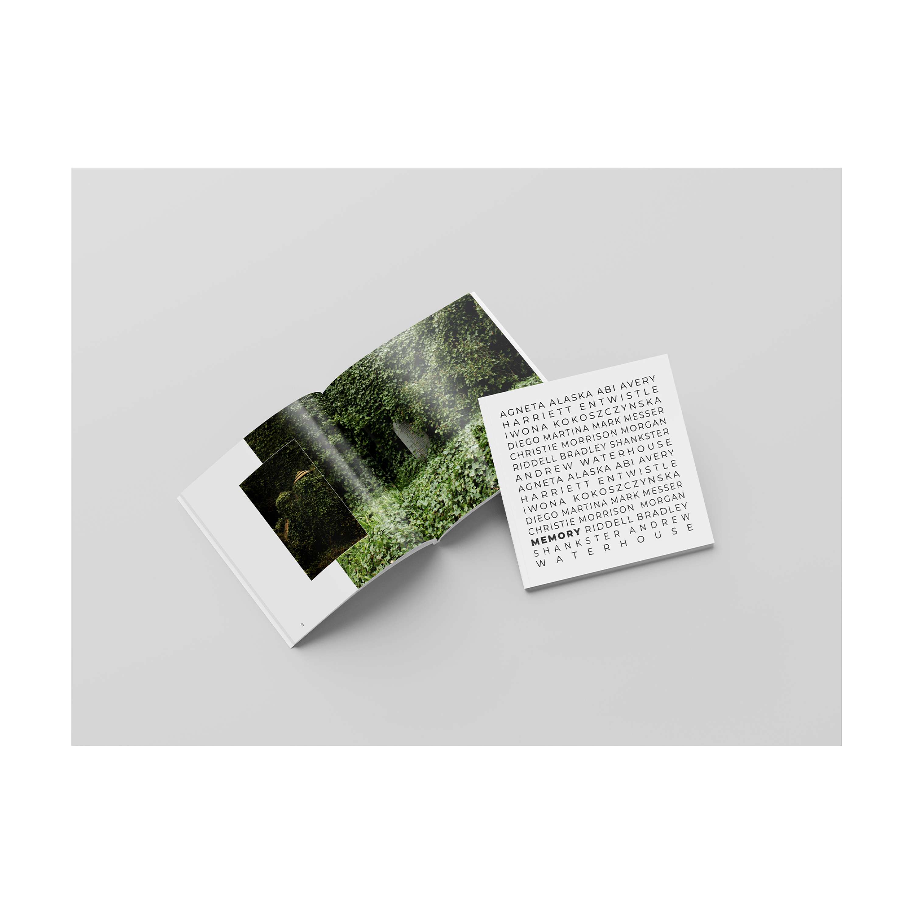 Book: Memory by Alaska Agneta Stikova