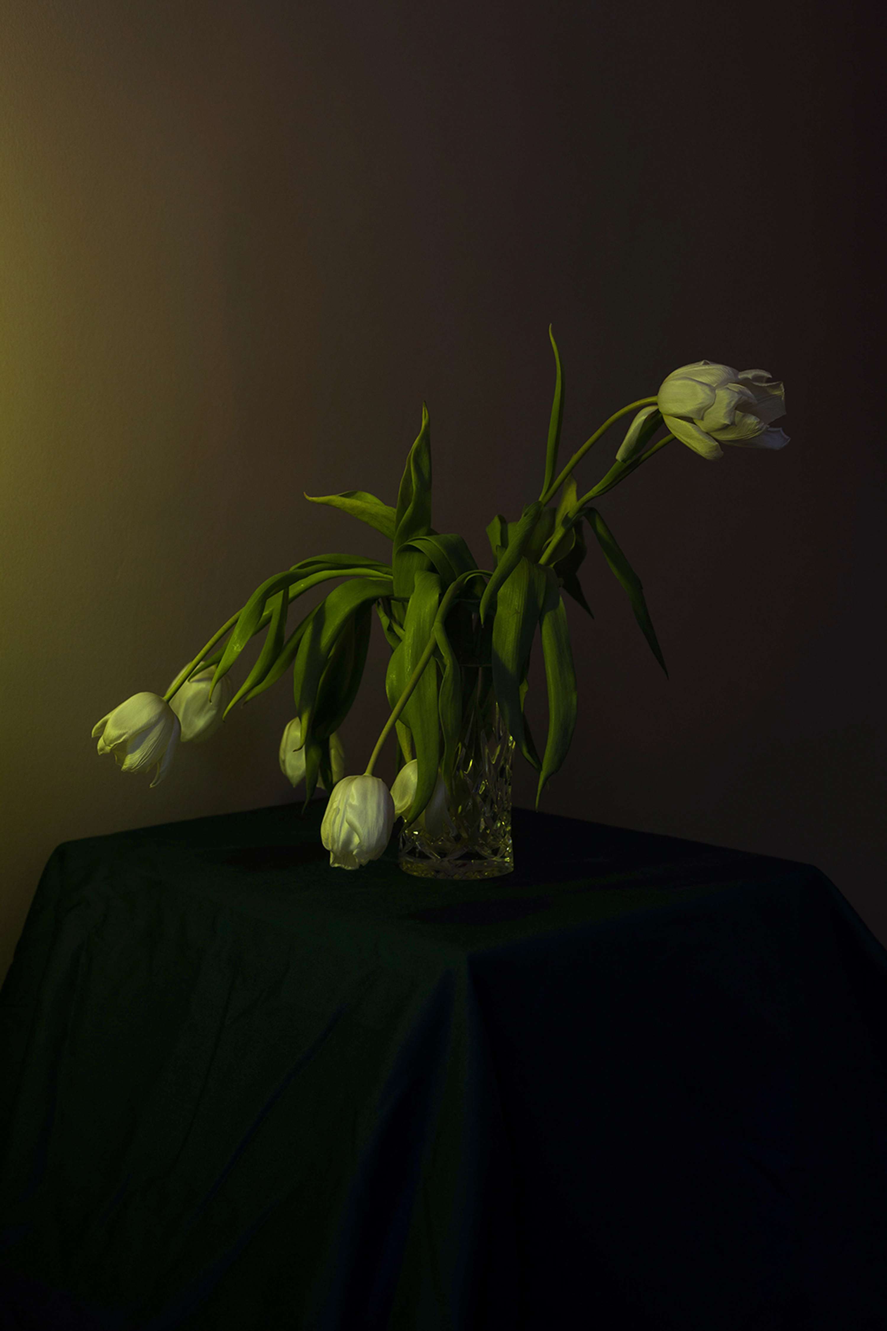 Something Where There Should be Nothing: Nothing Where There Should Be Something by Anna Sturgeon