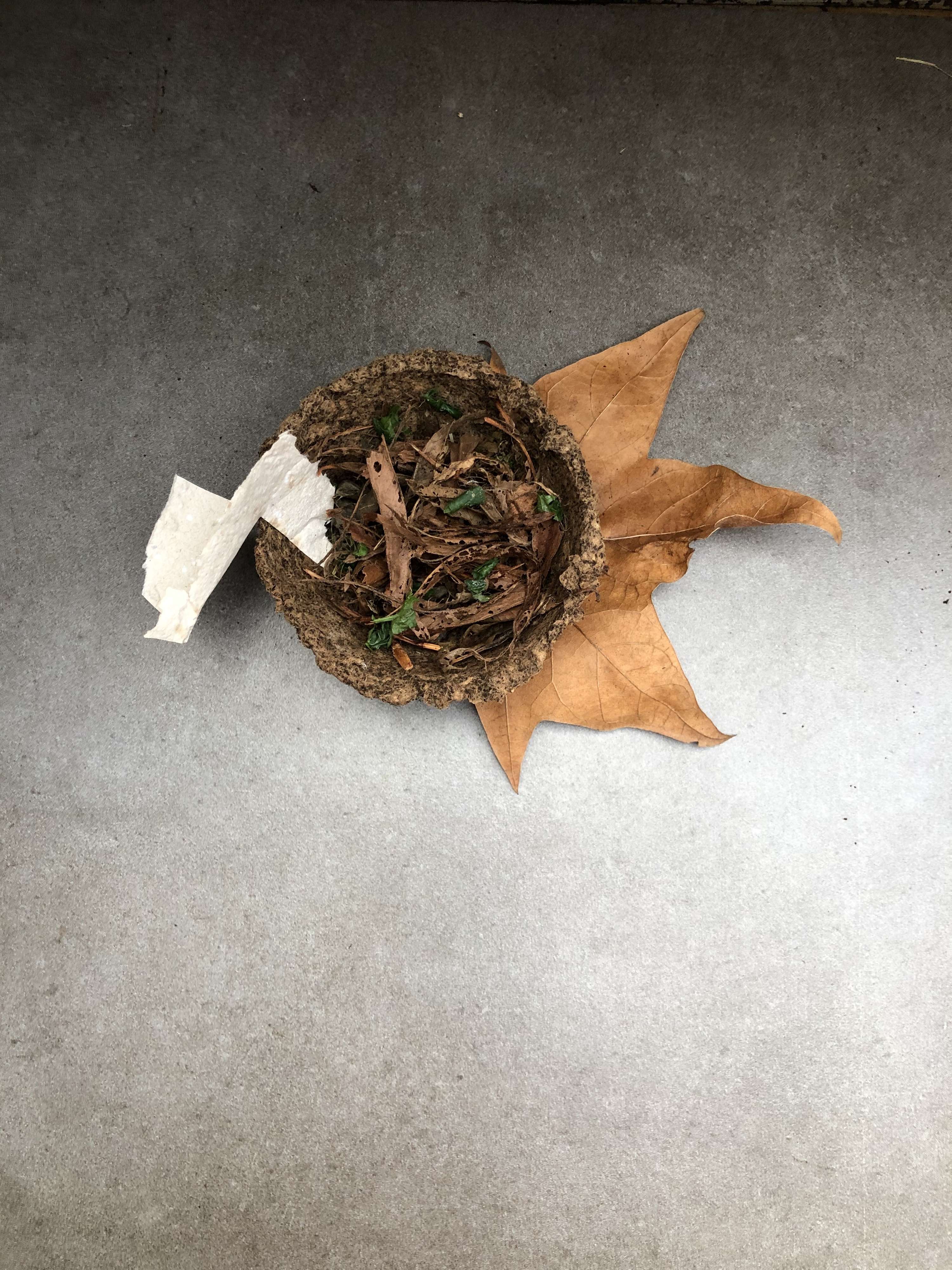 Supper With Soil by Arina Shokouhi