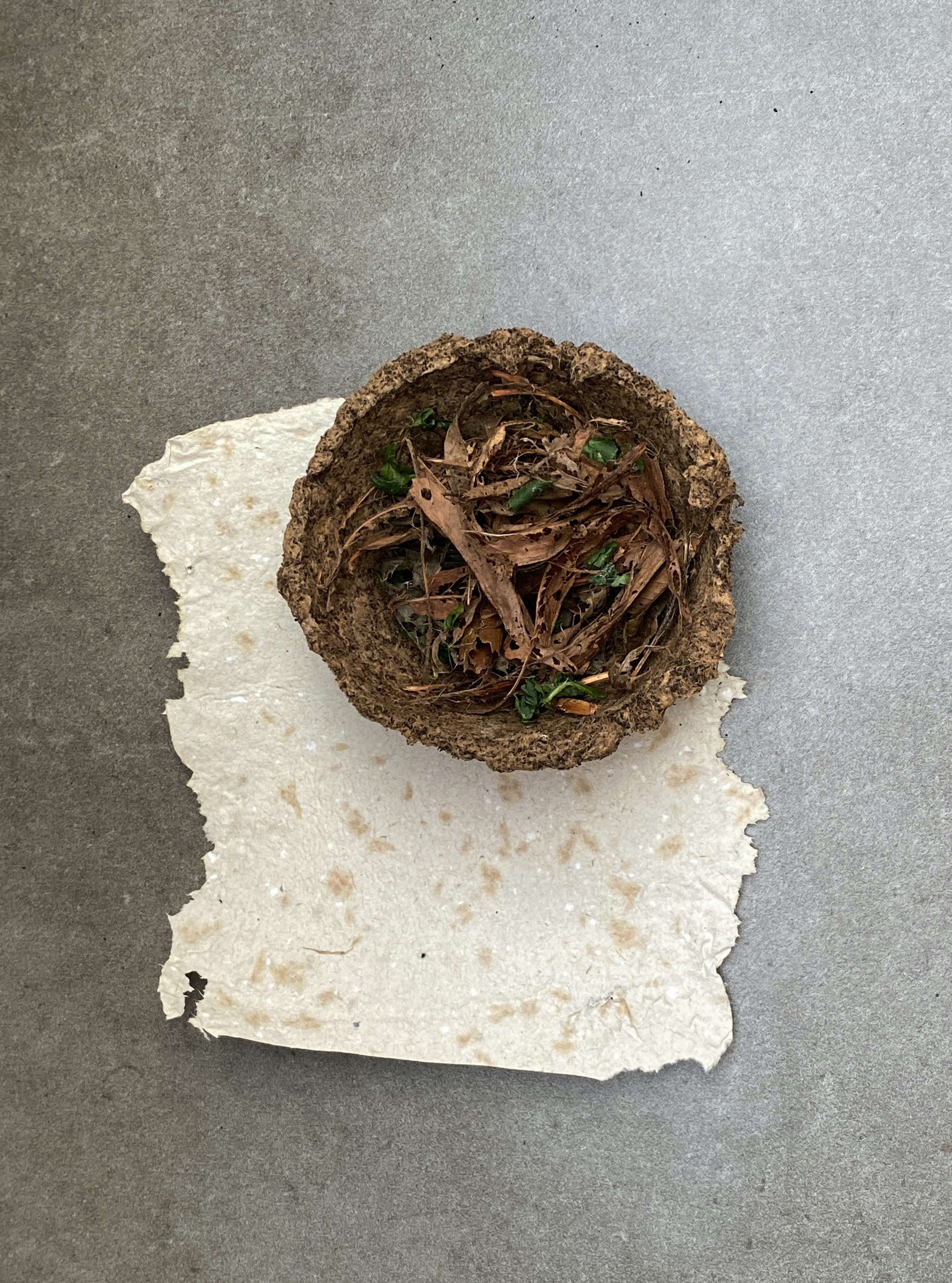 Supper With Soil by Arina Shokouhi