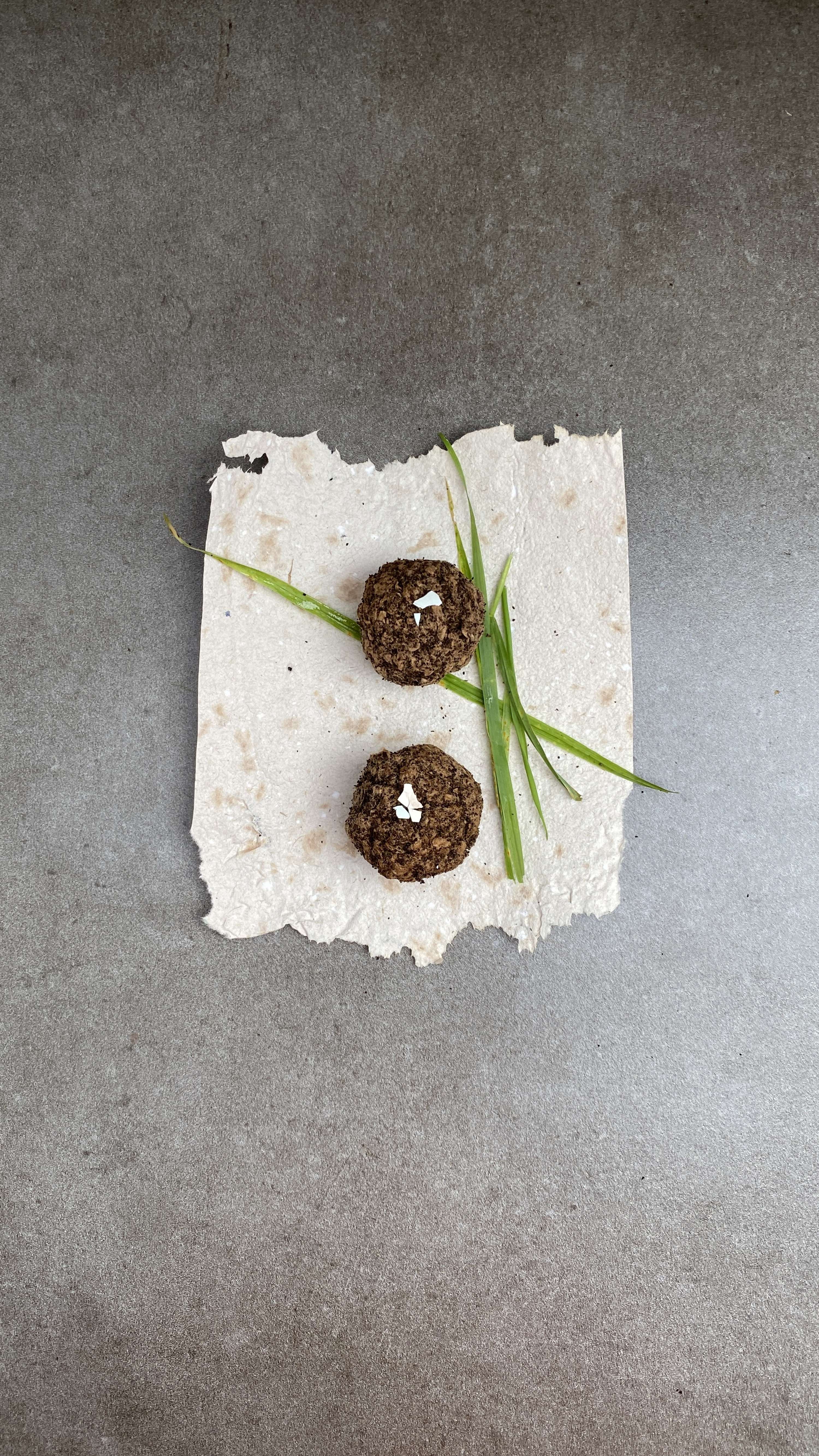 Supper With Soil by Arina Shokouhi