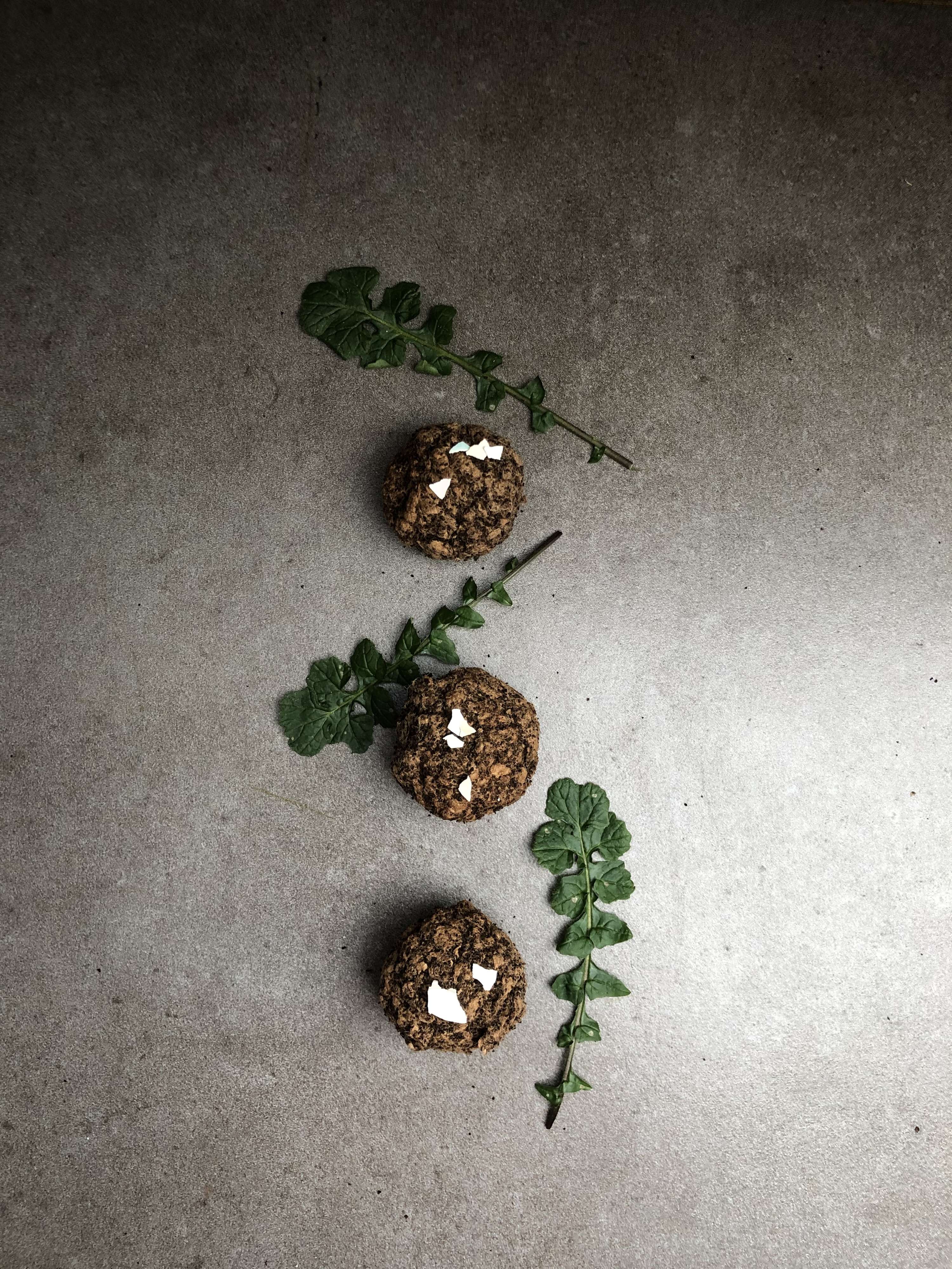 Supper With Soil by Arina Shokouhi