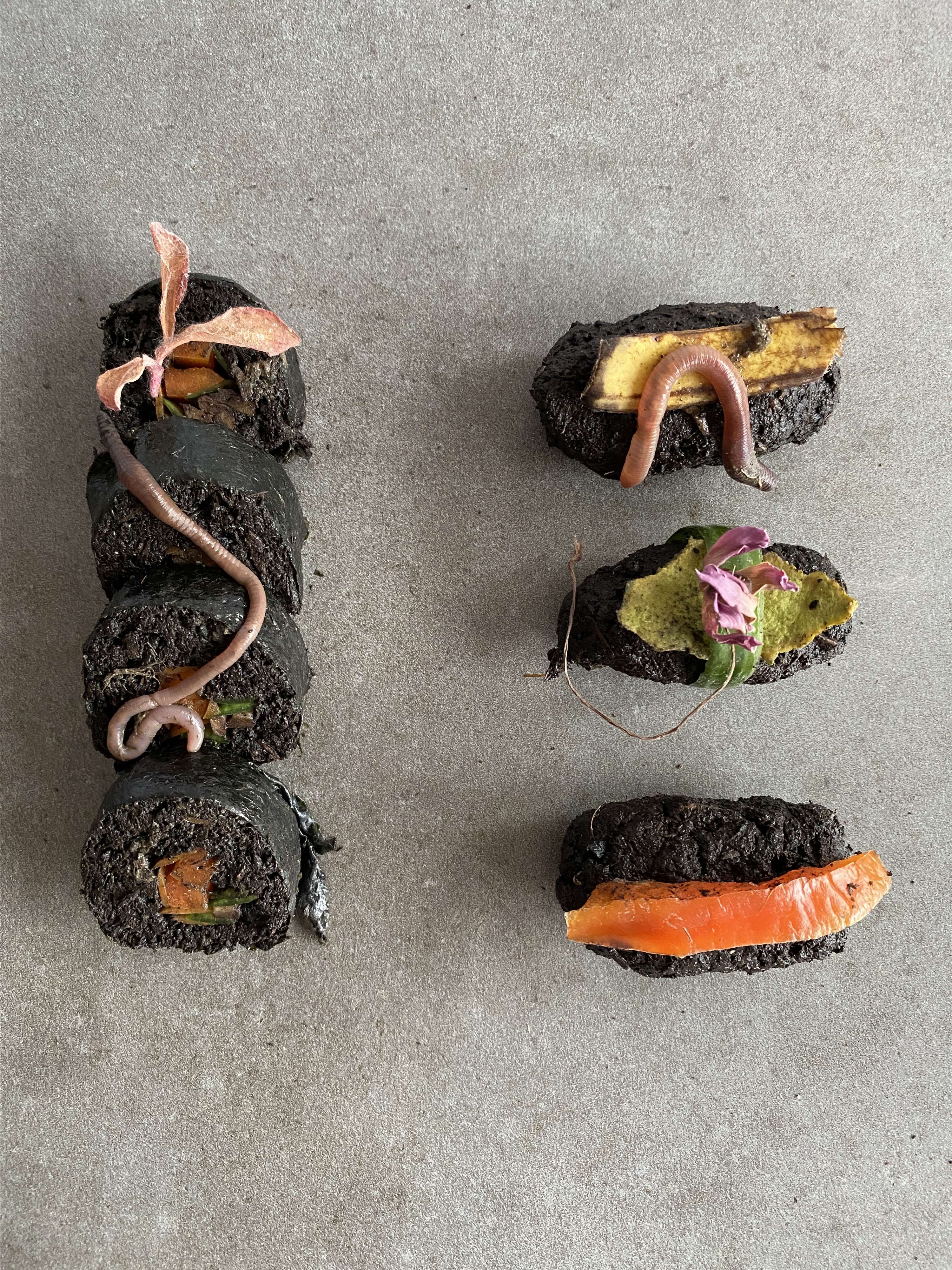 Supper With Soil by Arina Shokouhi