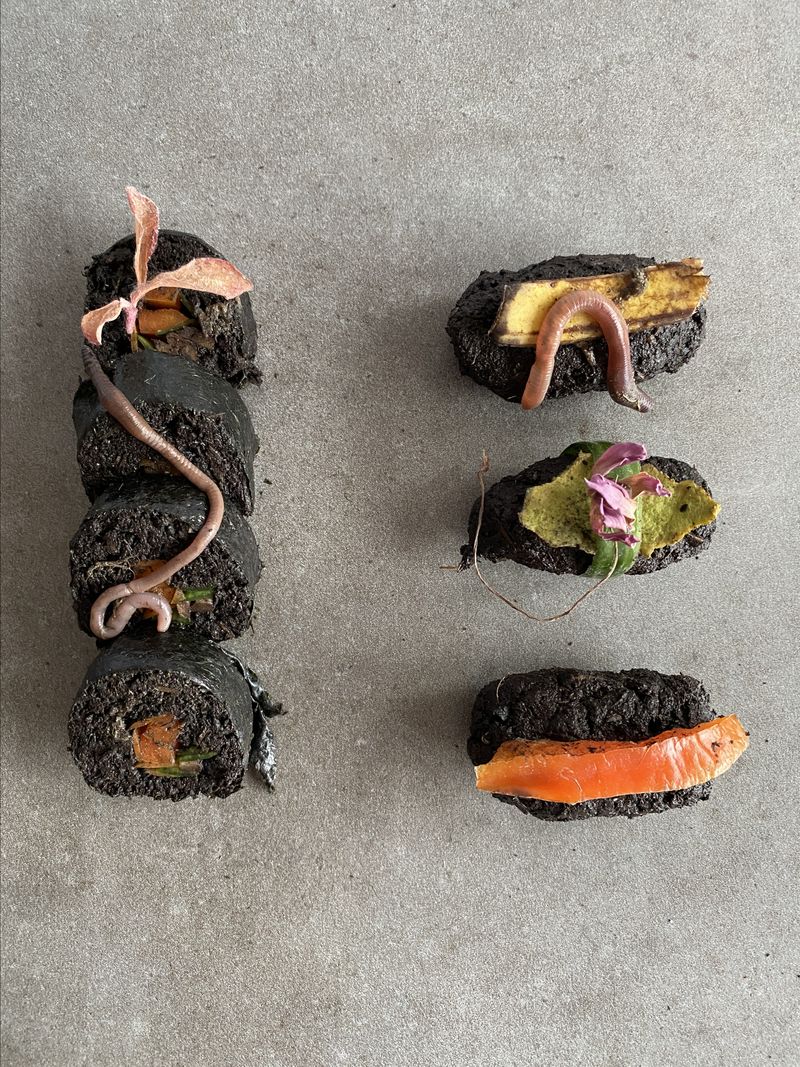Supper With Soil by Arina Shokouhi