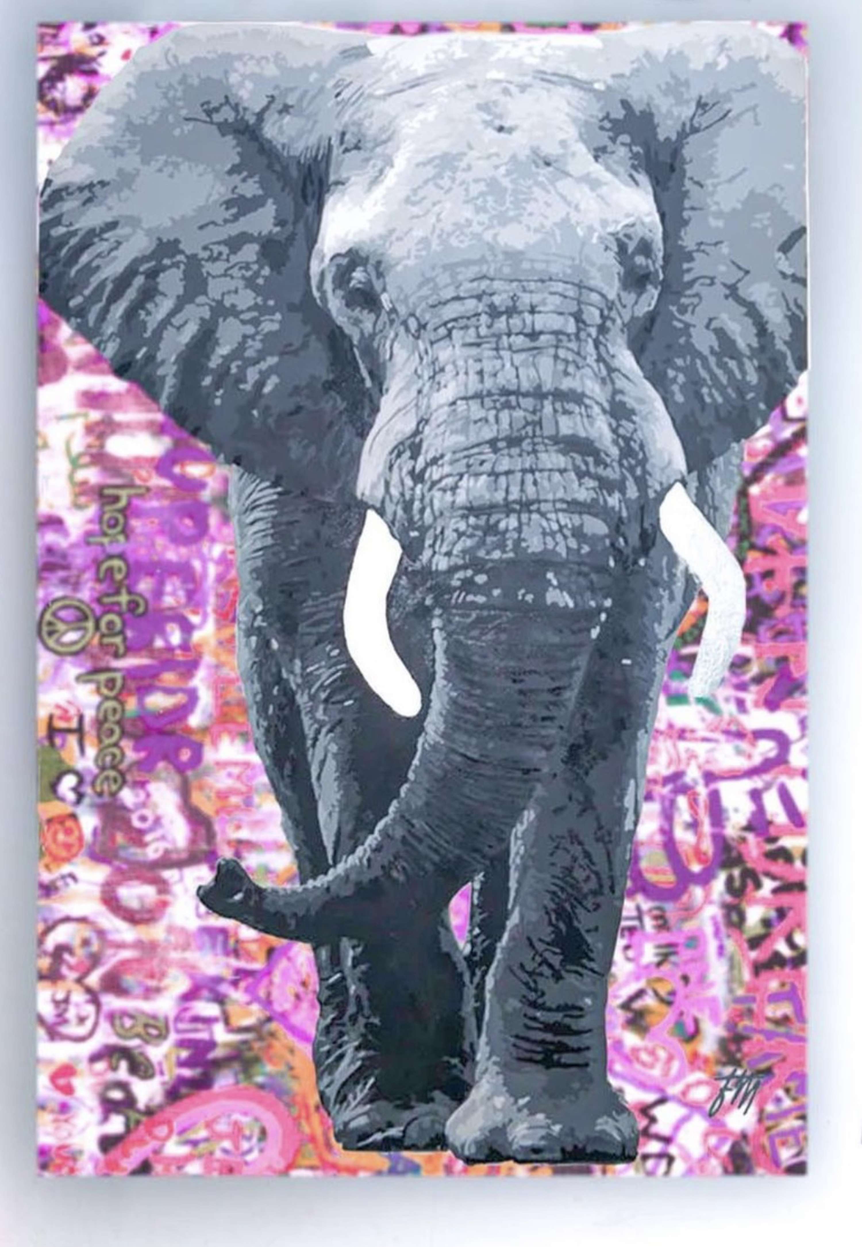 Extinction Series by Francesca Morgan