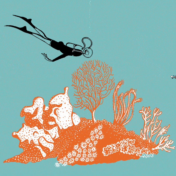 Reef by Belle Mellor