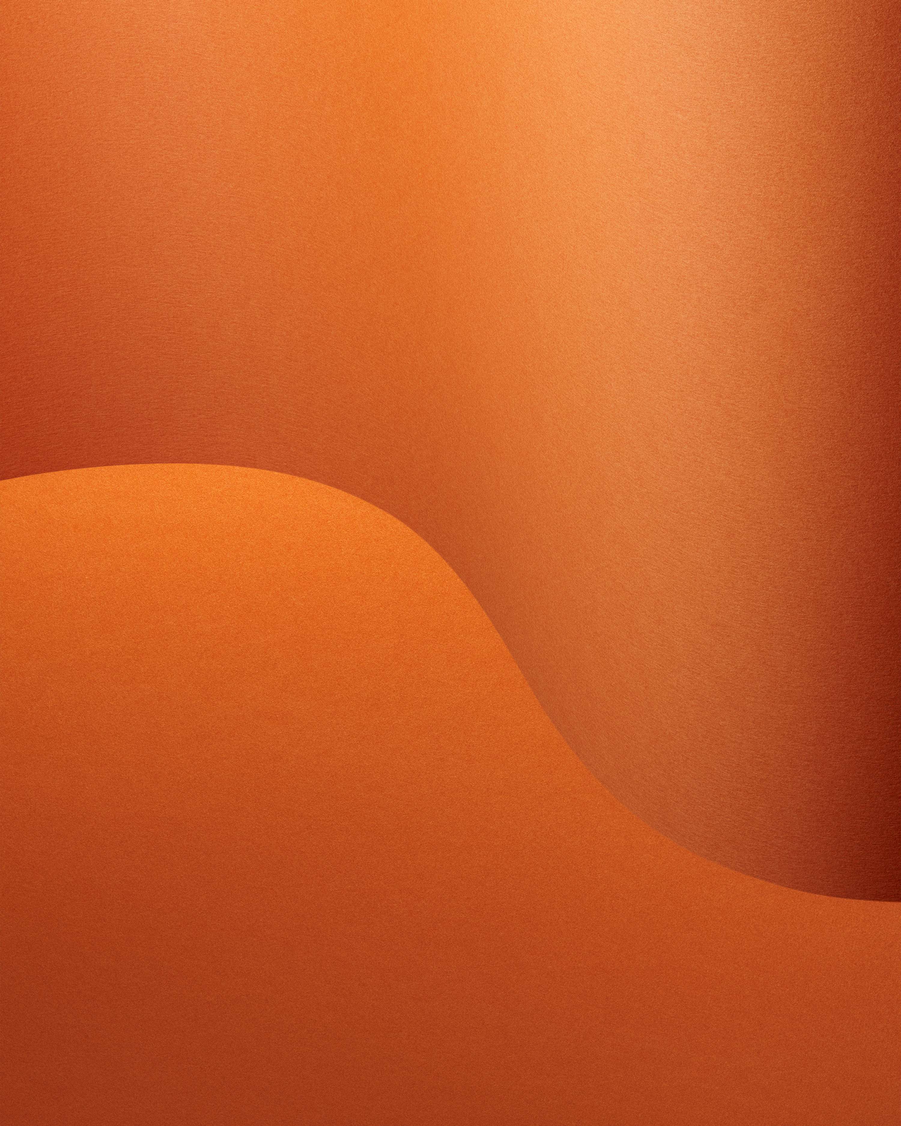 Transitions by Jason Lewer