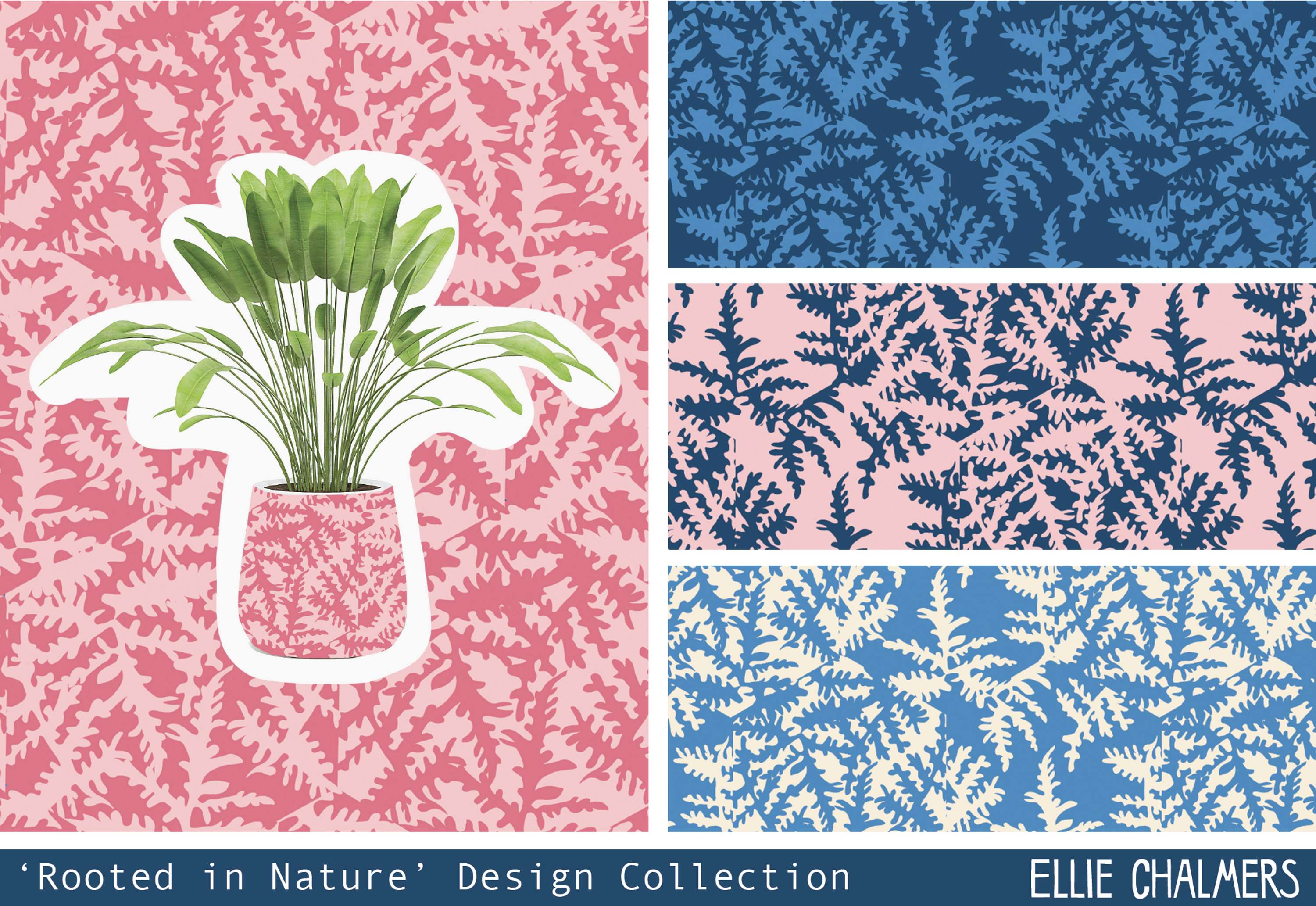 Rooted in Nature by Ellie Chalmers