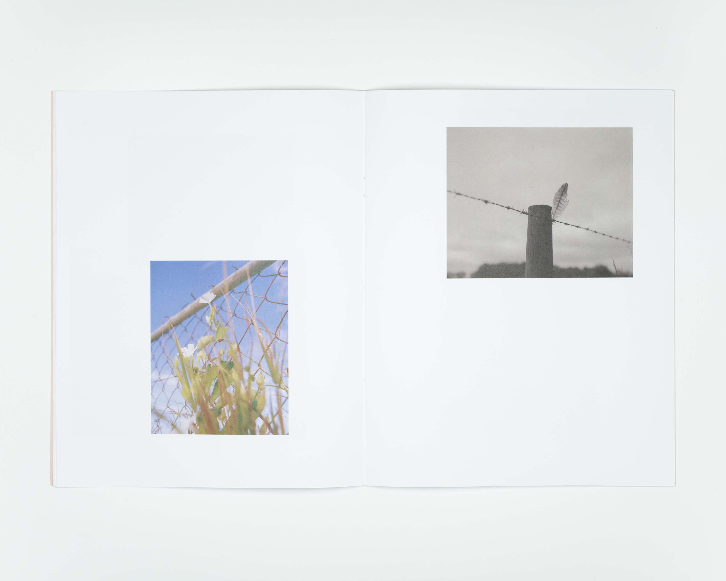 Let The River Flow Issue 1. by Jaime Molina