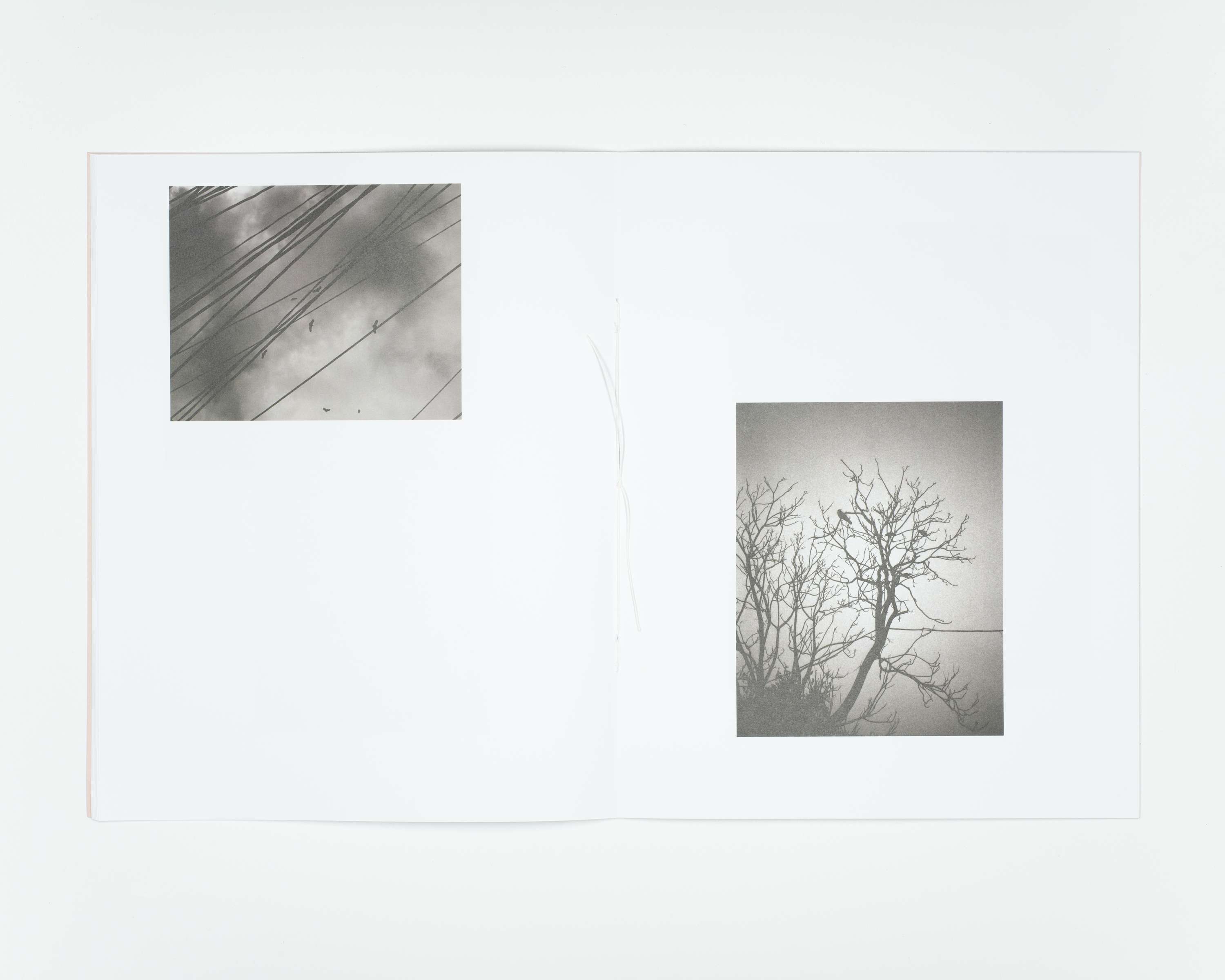 Let The River Flow Issue 1. by Jaime Molina