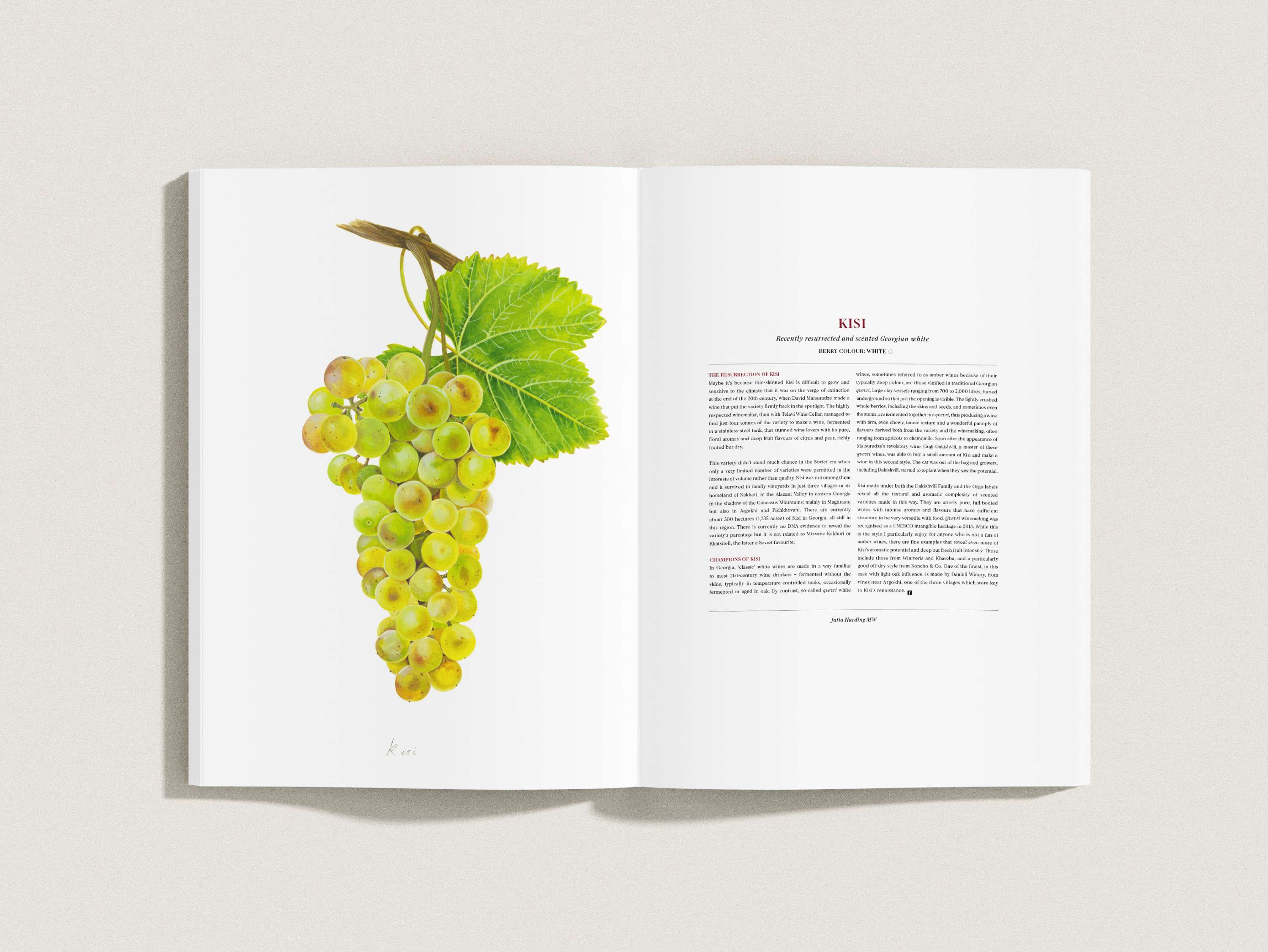FONDATA Issue One by Gavin Lucas