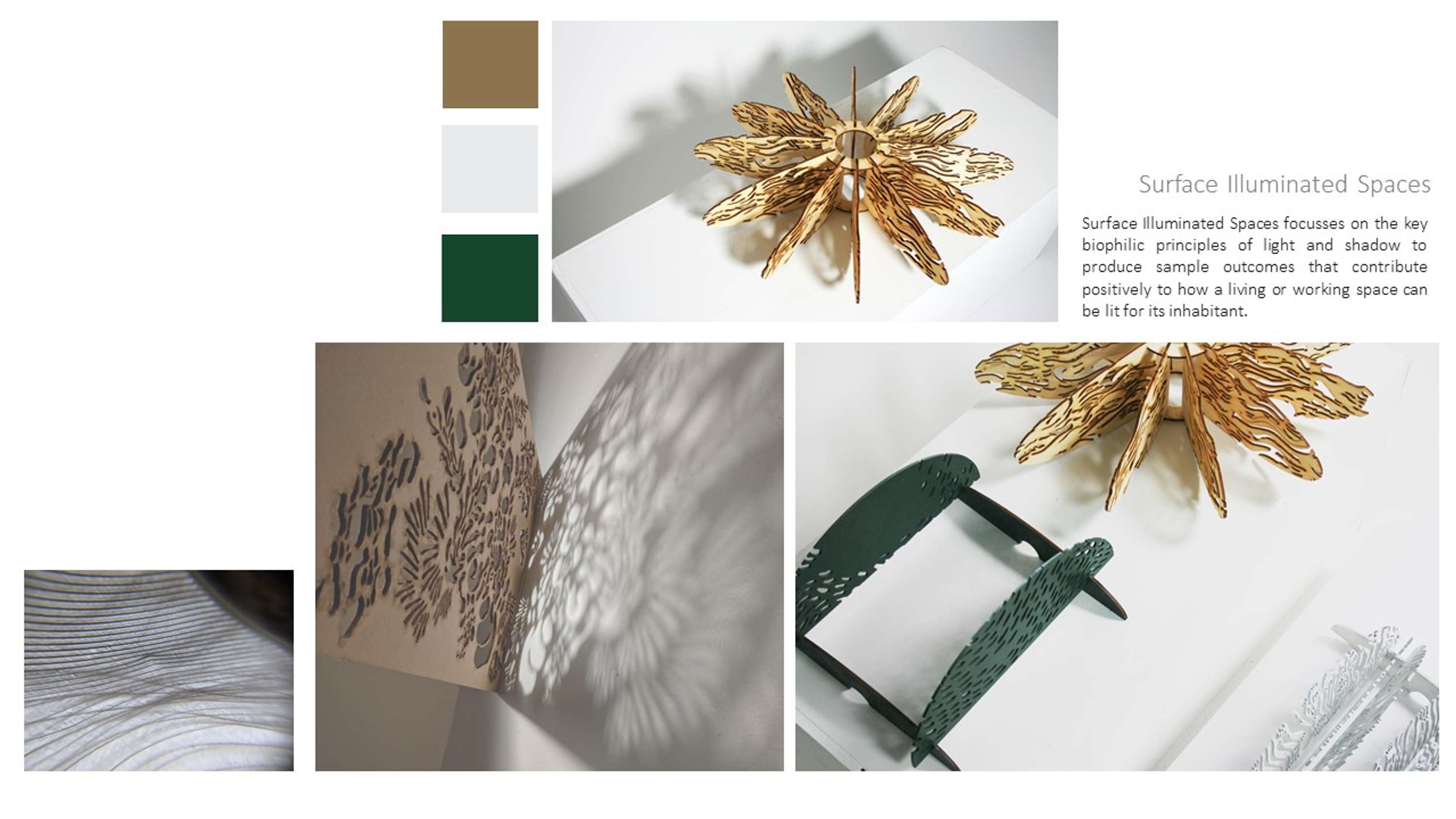 Surface Enriched Spaces by Emily Bagshaw