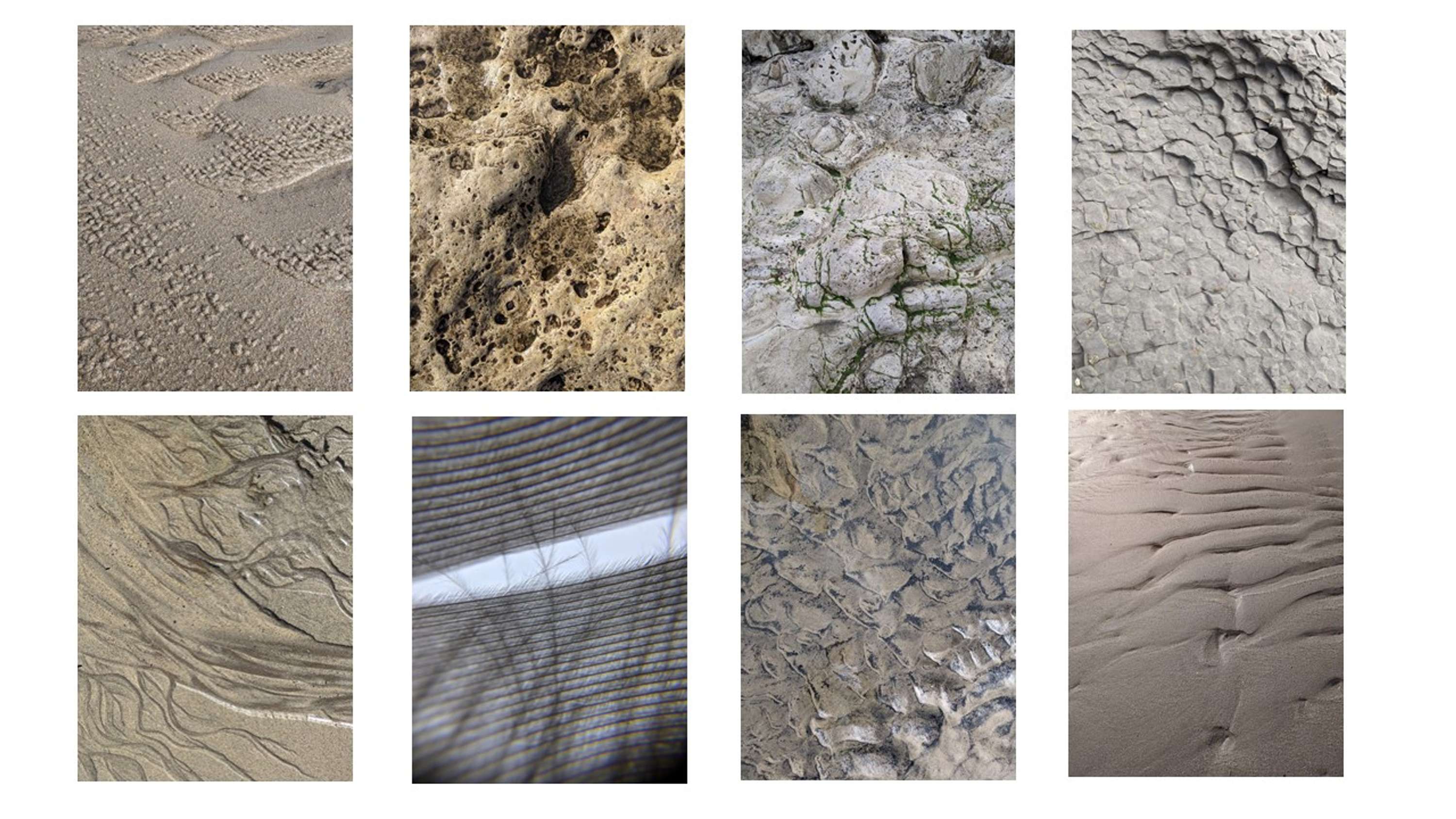 Surface Enriched Spaces by Emily Bagshaw