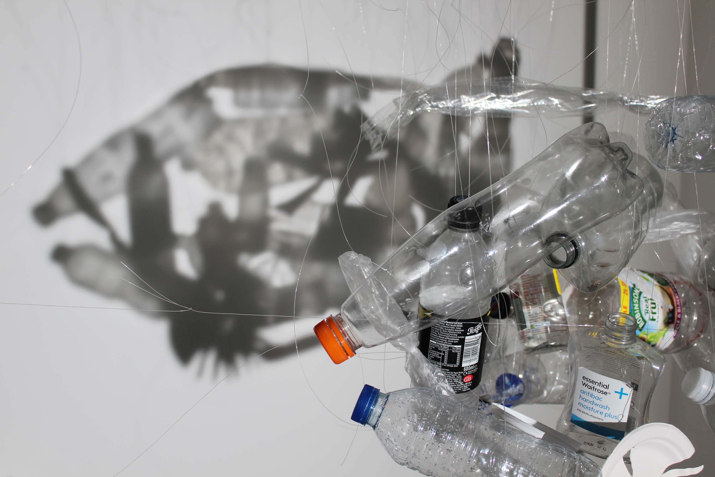 Sea Pollution Project by Matt Beard