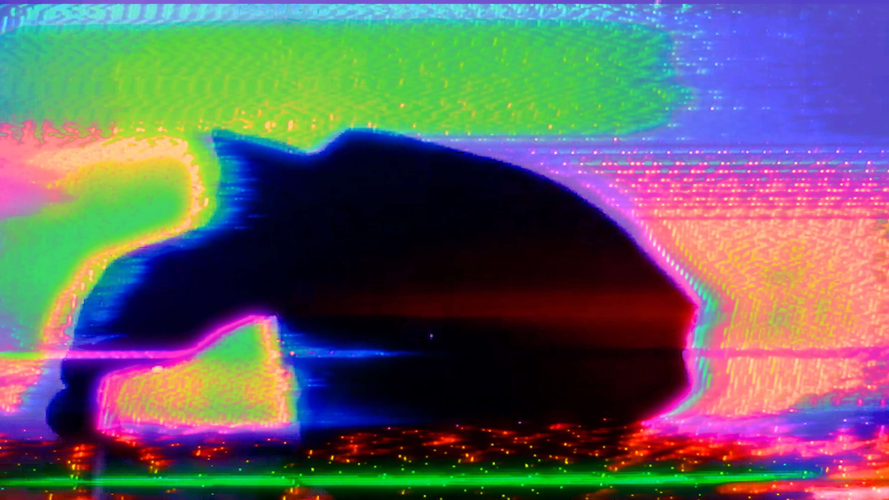 'wow' Visualiser by Eugene Tumusiime