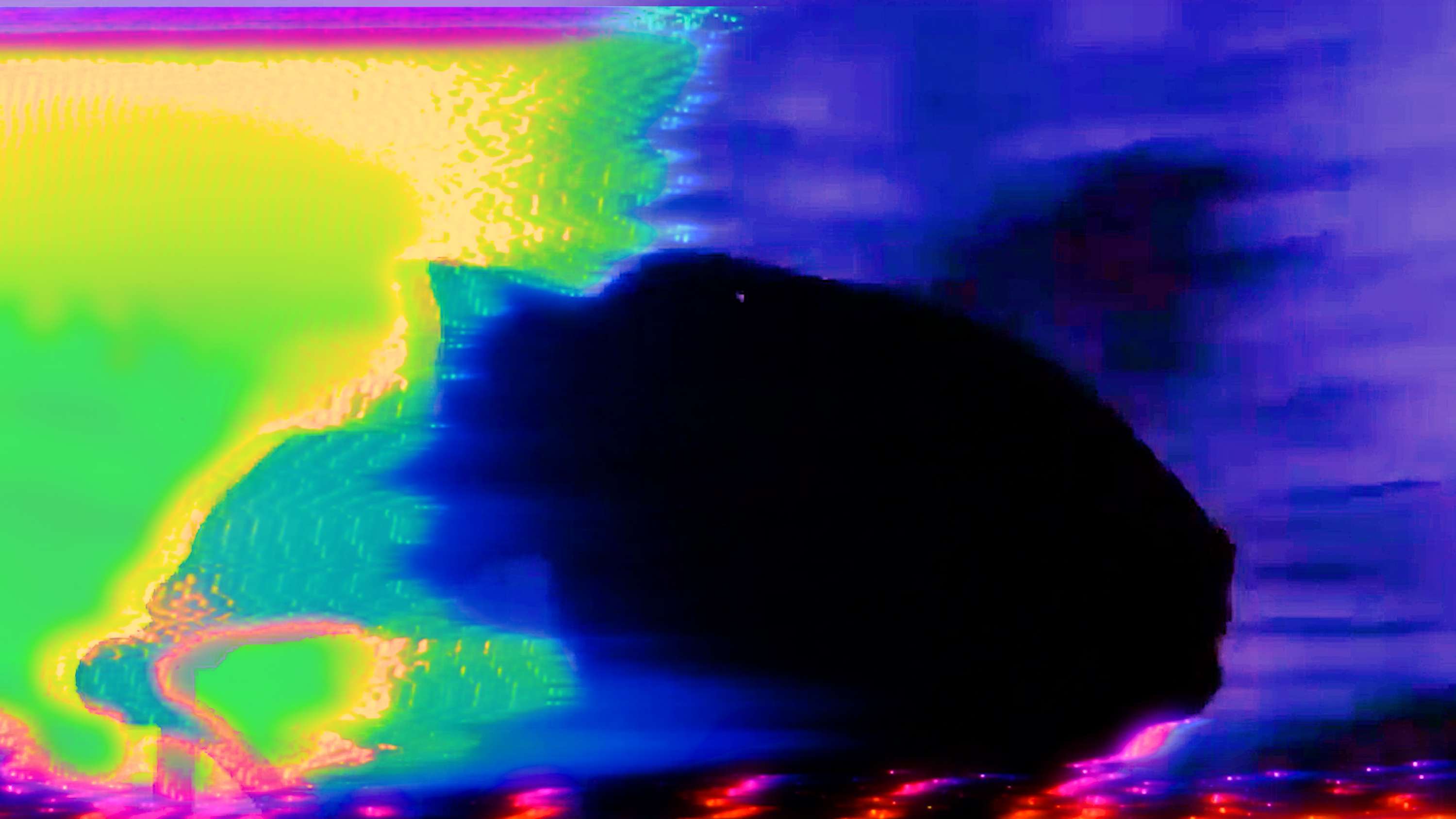 'wow' Visualiser by Eugene Tumusiime