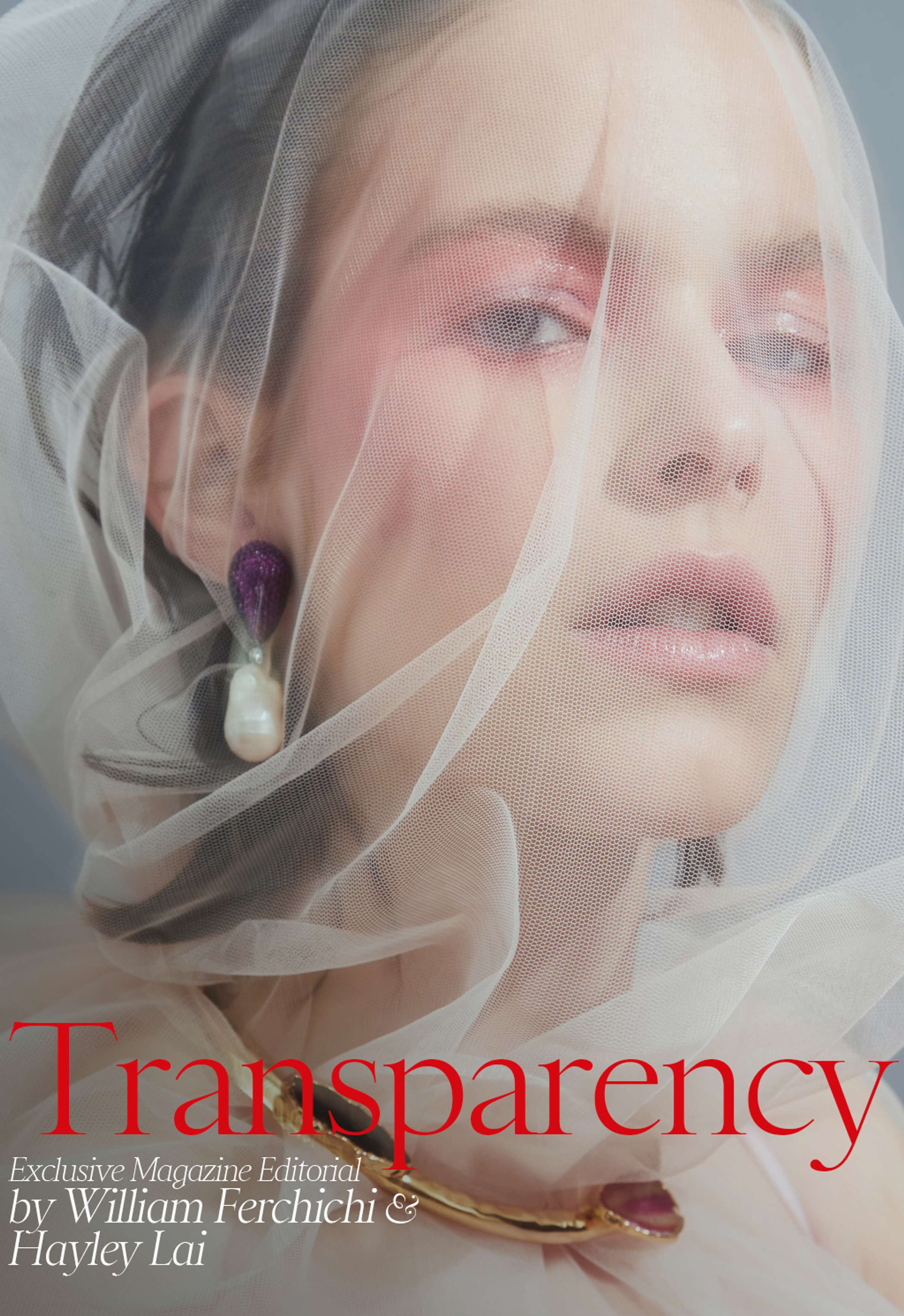 TRANSPARENCY by Hayley Lai