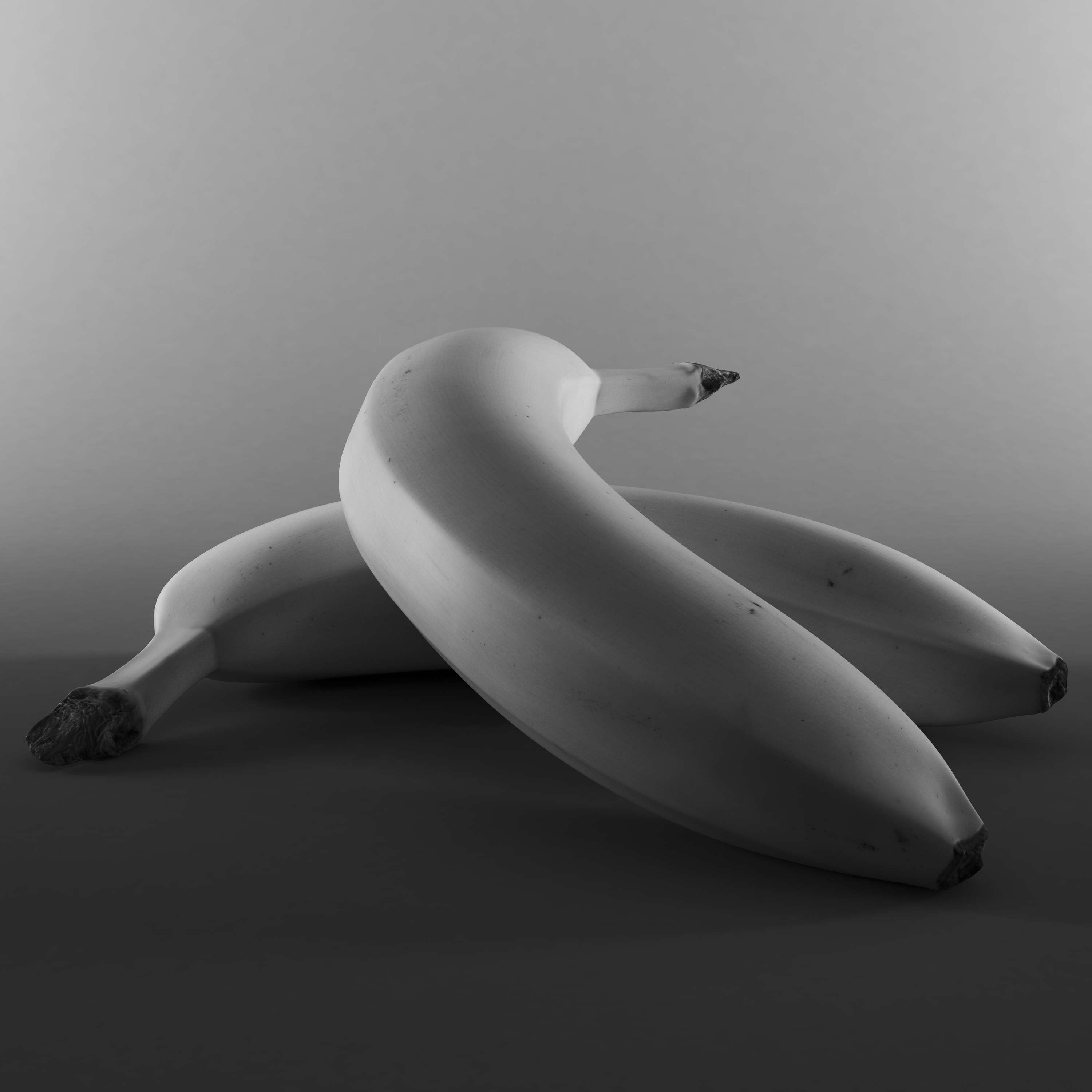 A Summary of its Parts by Dan Webb