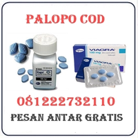 Toko Herbal Jual Obat Viagra Di Palopo 082121380048 logo
