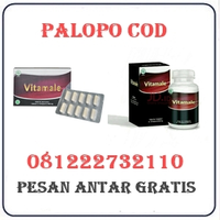 Toko Herbal Jual Obat Vitamale Di Palopo 082121380048 logo