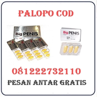 Toko Herbal Jual Obat Pembesar Penis Di Palopo 082121380048 logo