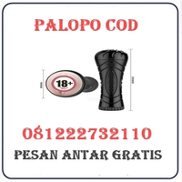 Toko Herbal Jual Alat Bantu Pria Vagina Di Palopo 082121380048 logo