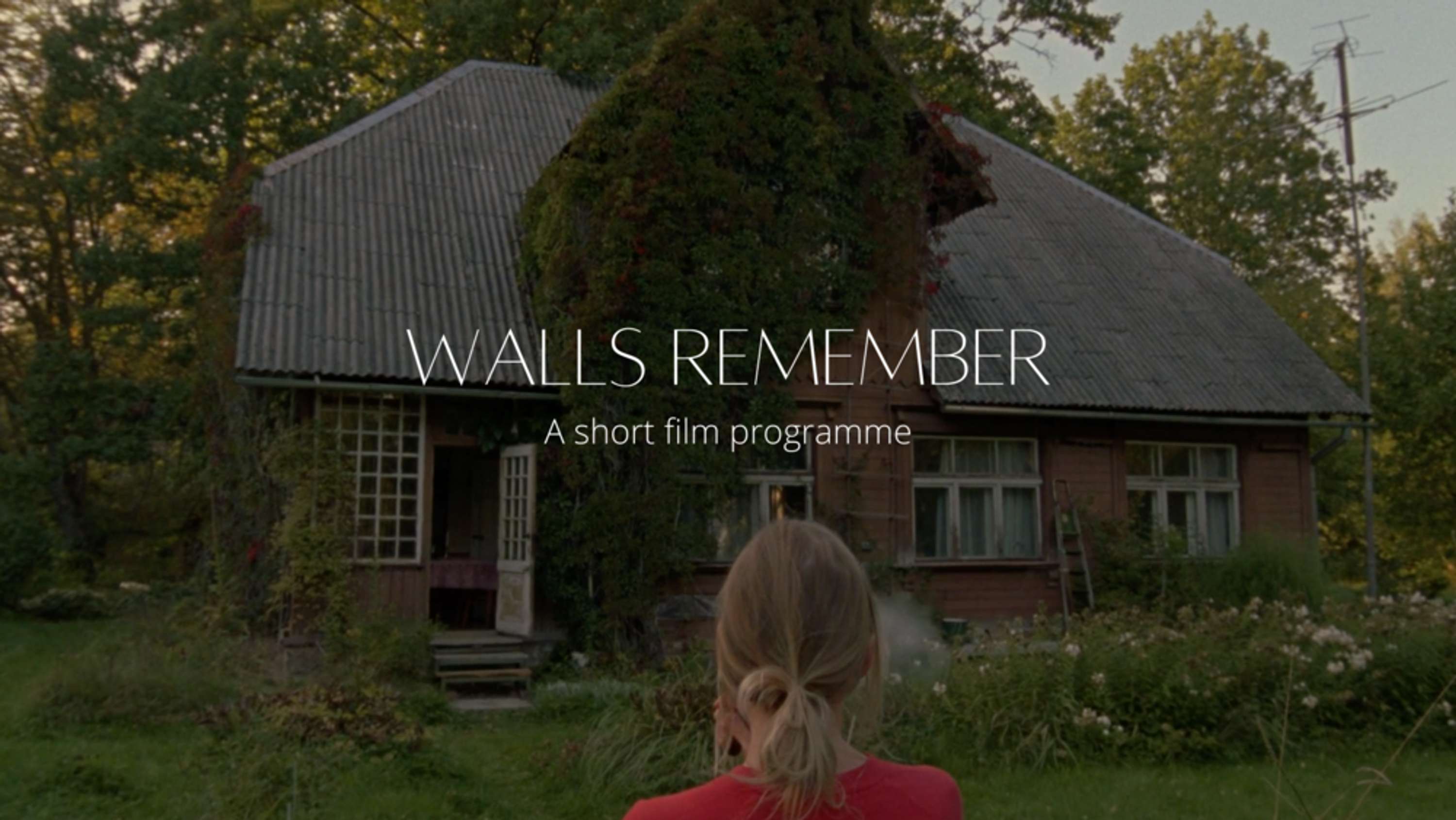 Walls Remember: A Shorts Compilation by Teodosia Dobriyanova