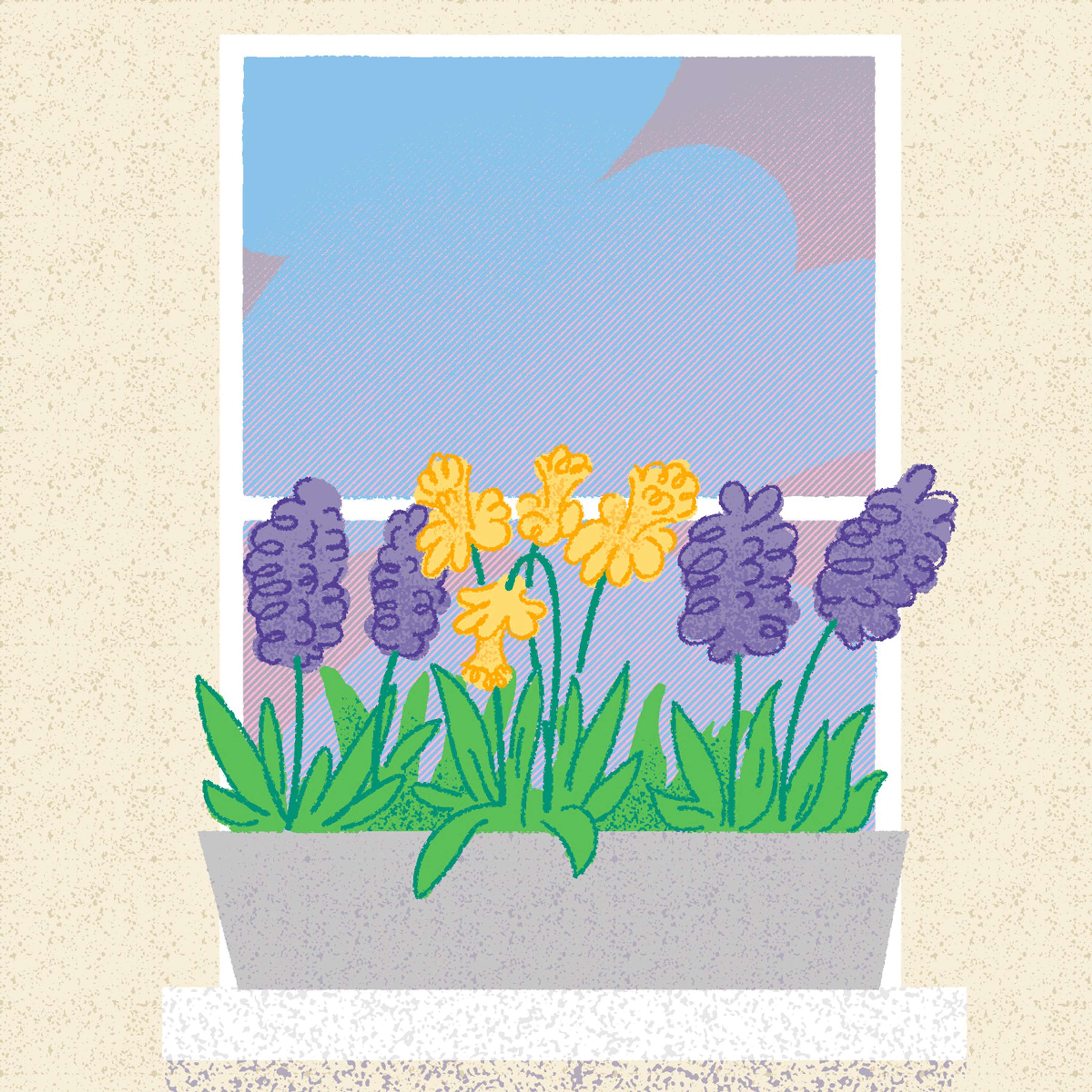 Spring 2021 by Mark Oliver