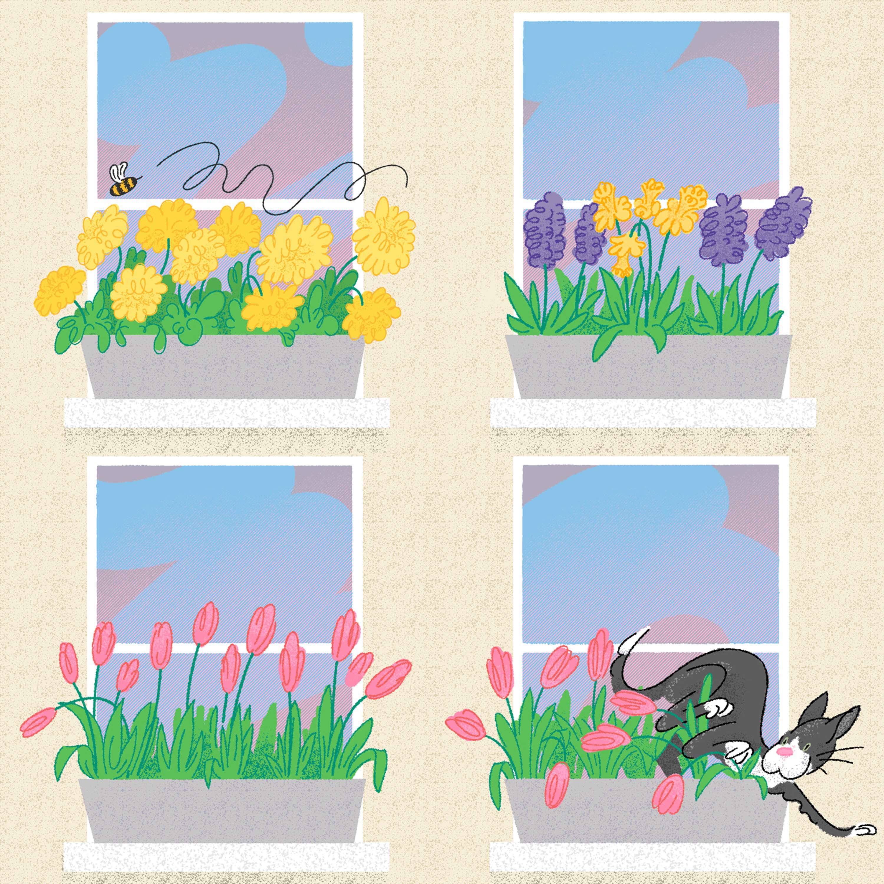 Spring 2021 by Mark Oliver