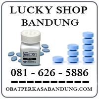 Toko Cicaheum Jual Obat Viagra Di Bandung 0816265886 logo
