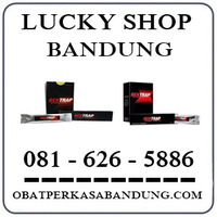 Toko Cicaheum Jual Obat Bentrap Di Bandung 0816265886 logo