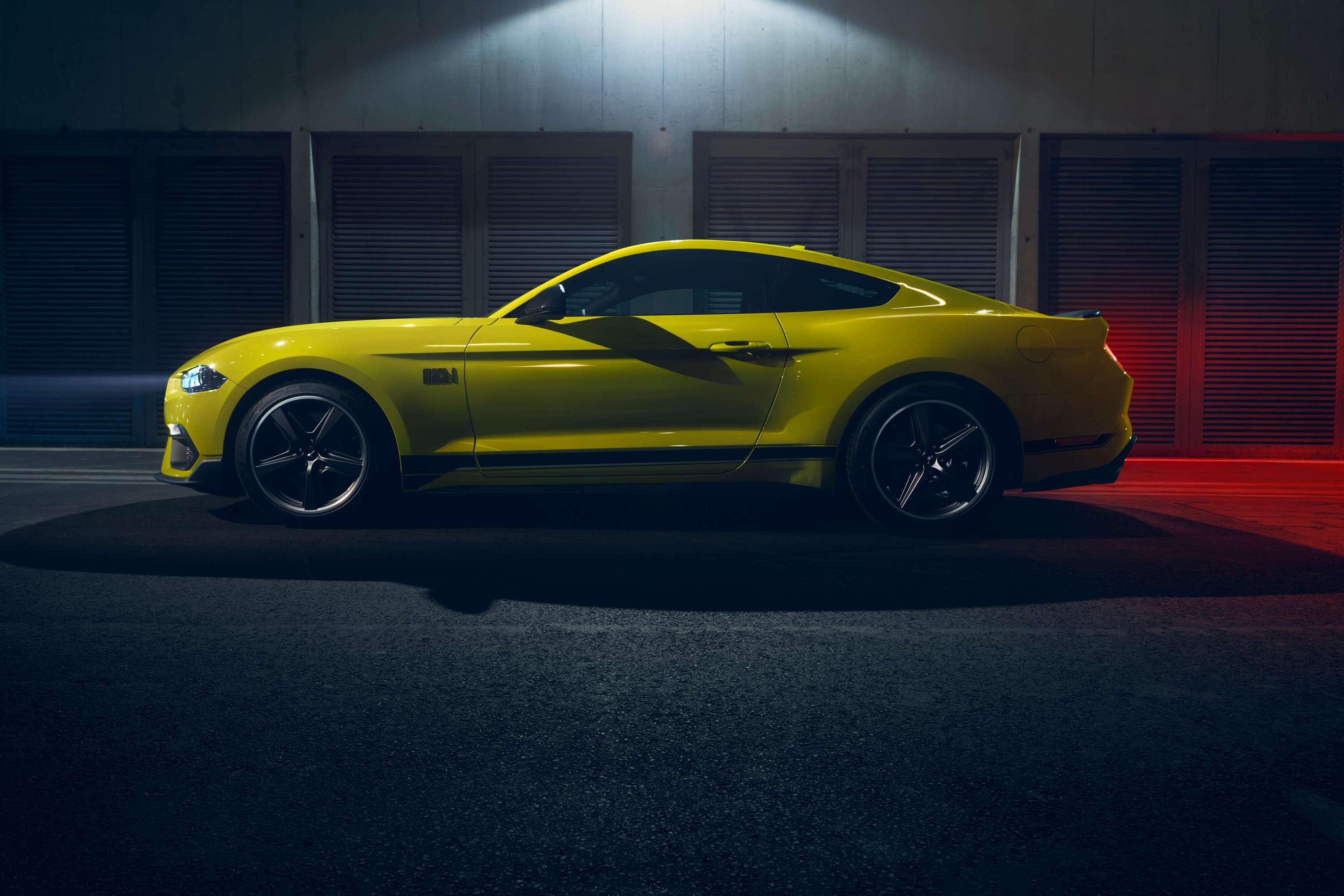 Mustang Mach 1 by Ailton Henriques
