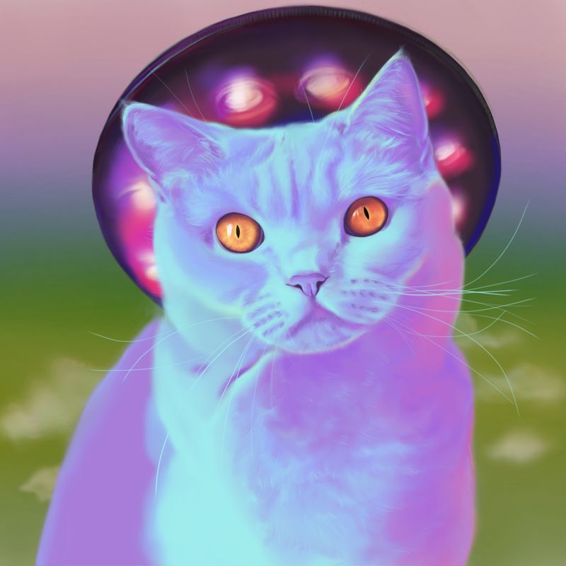 Space dreams by Malika Jaii