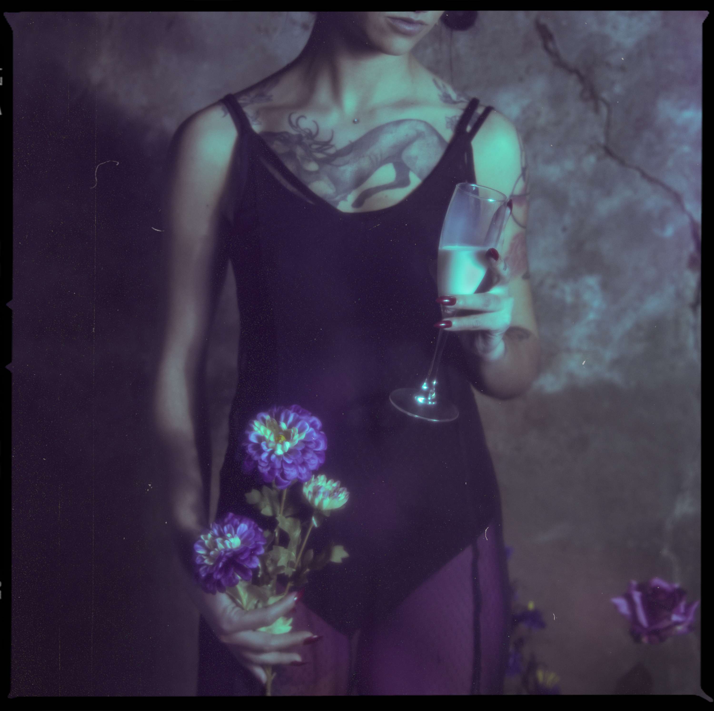 FANZINE-fragile yet fierce by Flora Brazuelo Millán