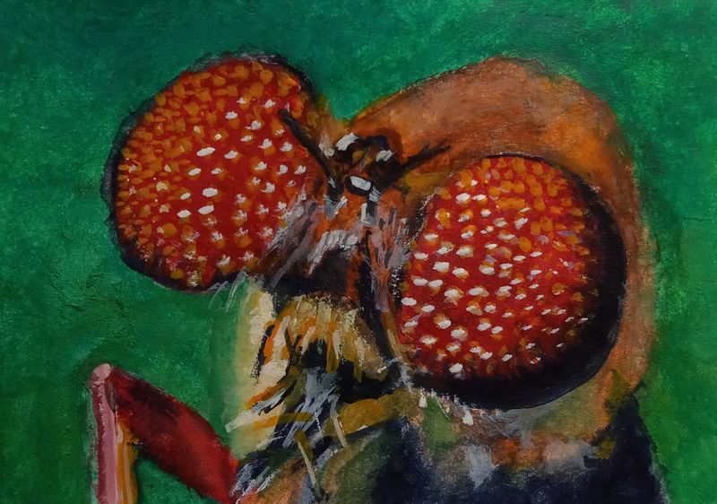 The Fly (6/19/2021). Watercolor on paper. 3.31 in. x 2.31 in. by Tevin Mukudi