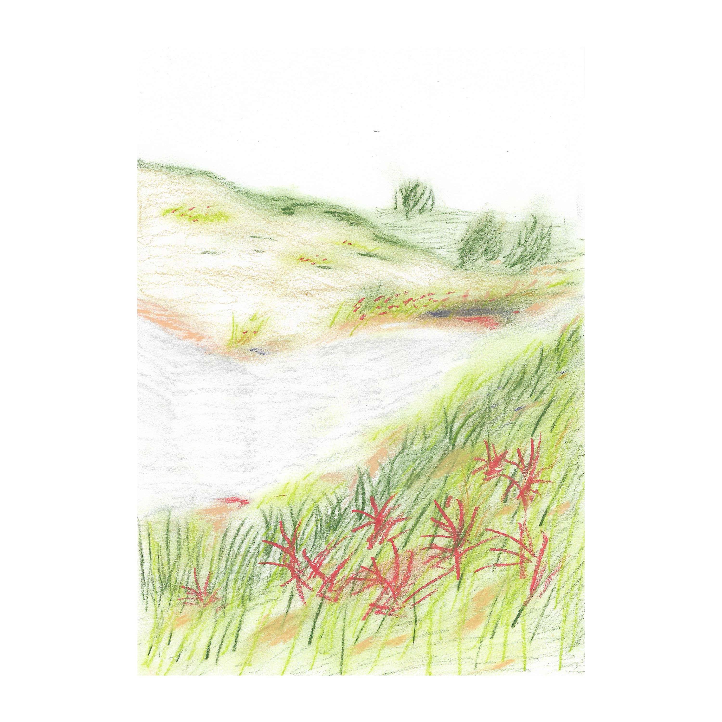 Cornwall from Memory by Laina Deene