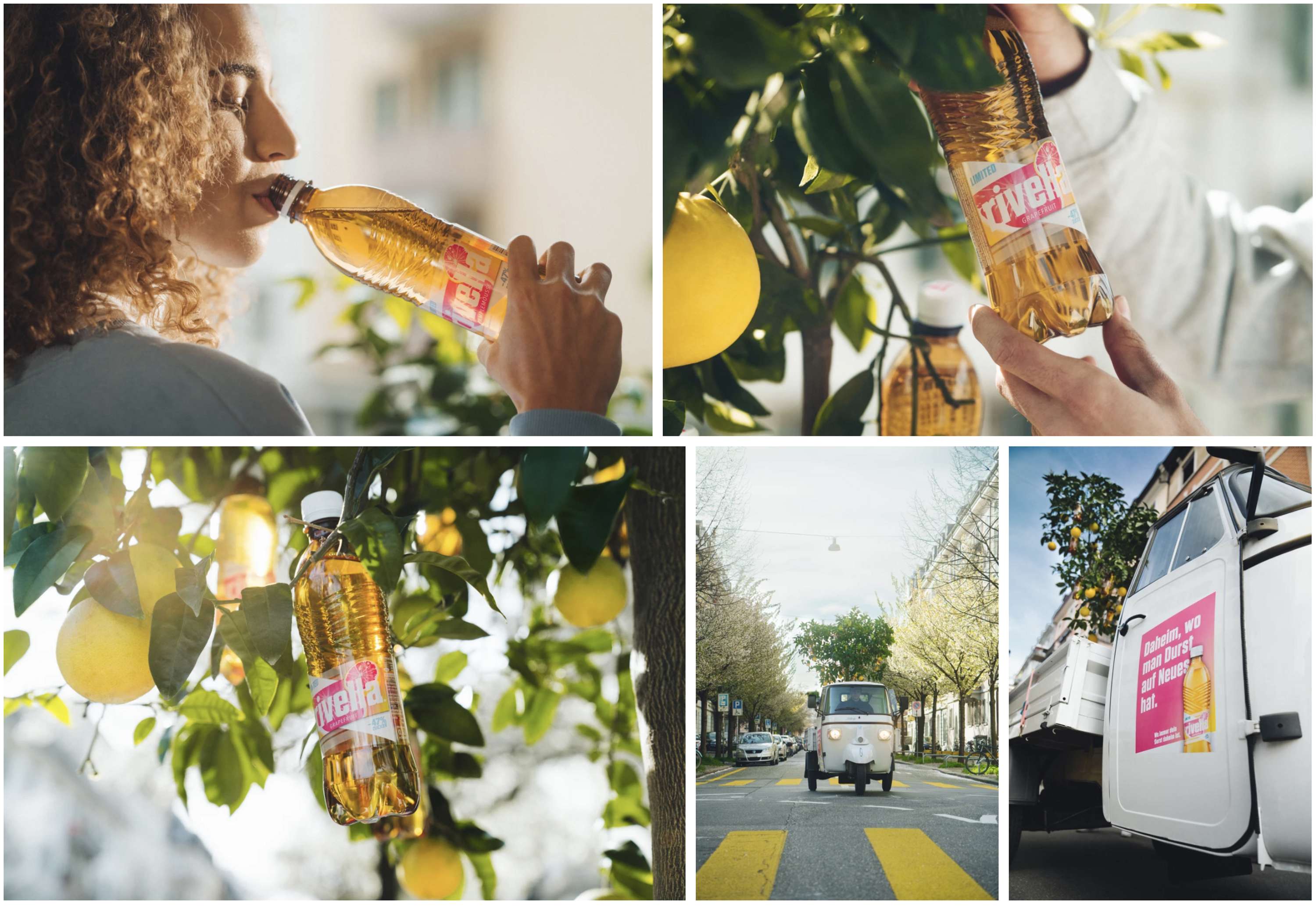 RIVELLA / TREE ON TOUR by MARTY / TREZZINI