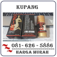 Apotik Cod K24 { 0816265886 } Jual Obat Perangsang Wanita  Di Kupang Harga Promo logo