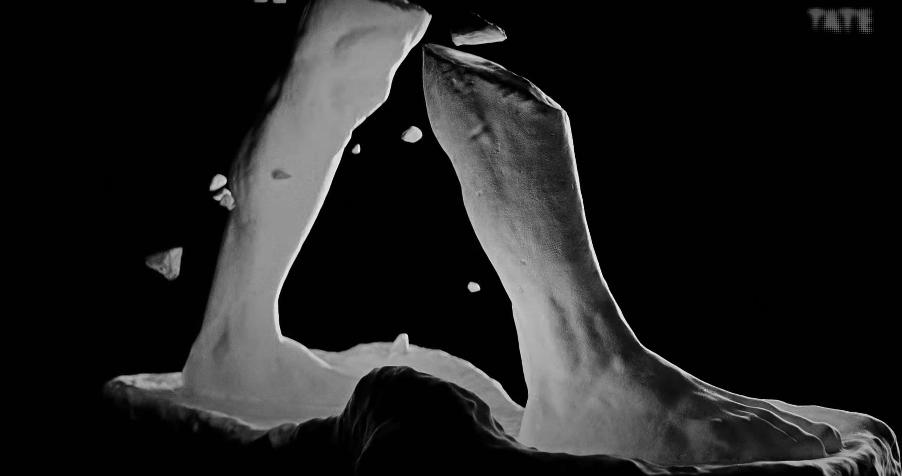 The Making of Rodin by Lily Bonesso