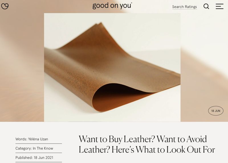 Article on the real ecological impact of leather by Yéléna Uzan