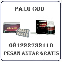 Apotik Farma Cod { 082121380048 } Jual Obat Vitamale Di Palu logo